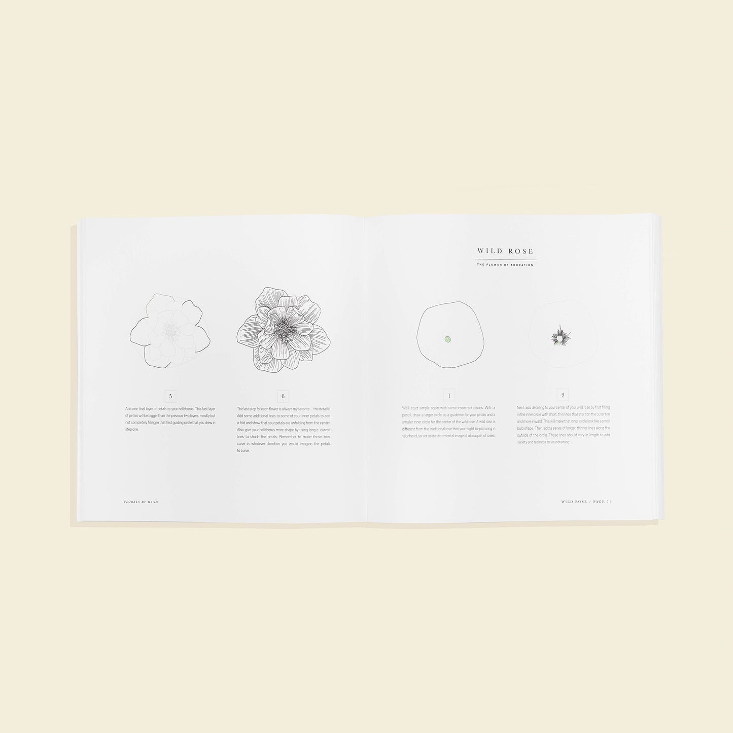 Florals By Hand by Alli Koch
