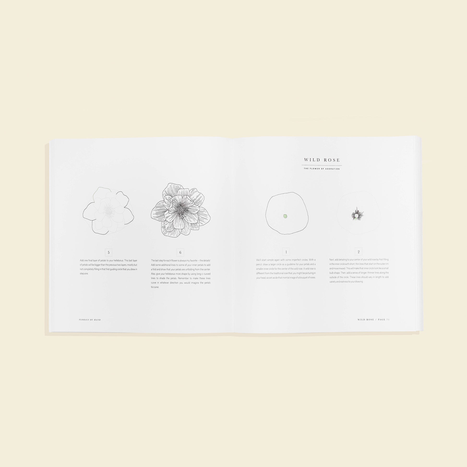 Florals By Hand by Alli Koch