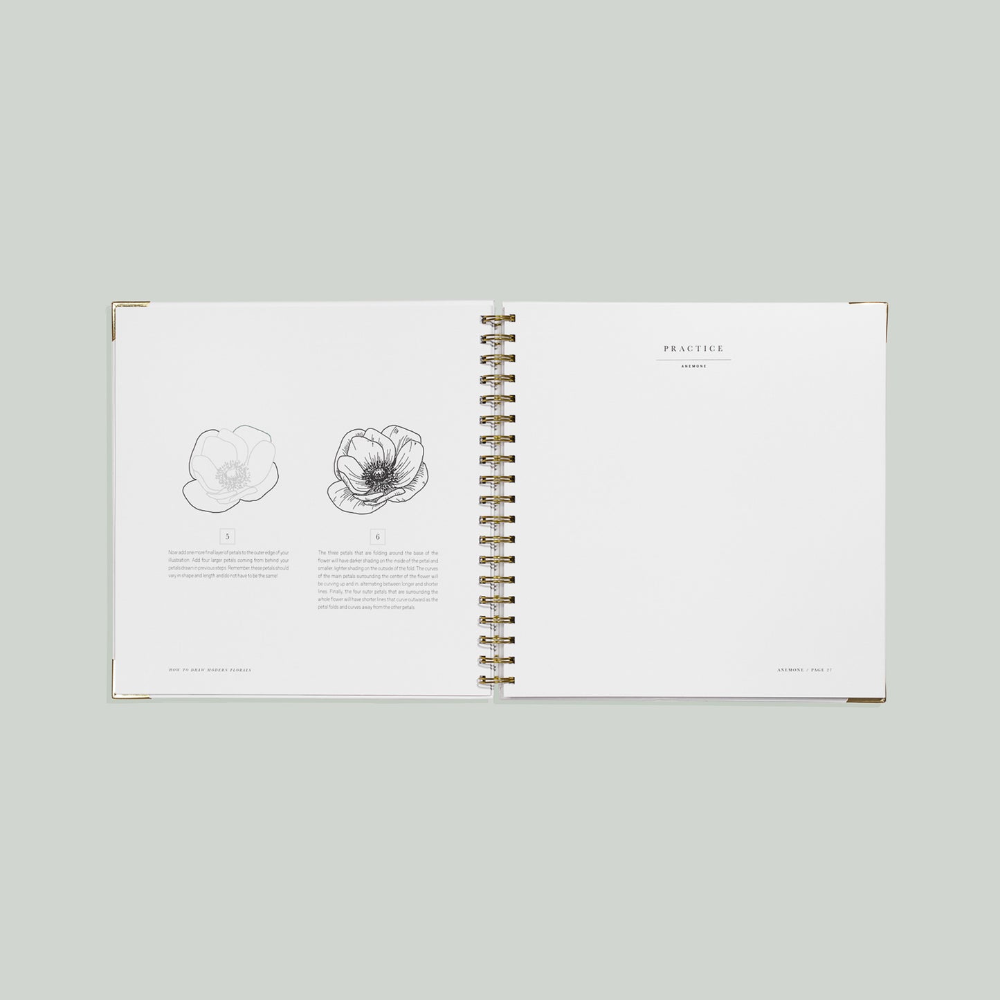 How To Draw Modern Florals (Spiral Bound) by Alli Koch