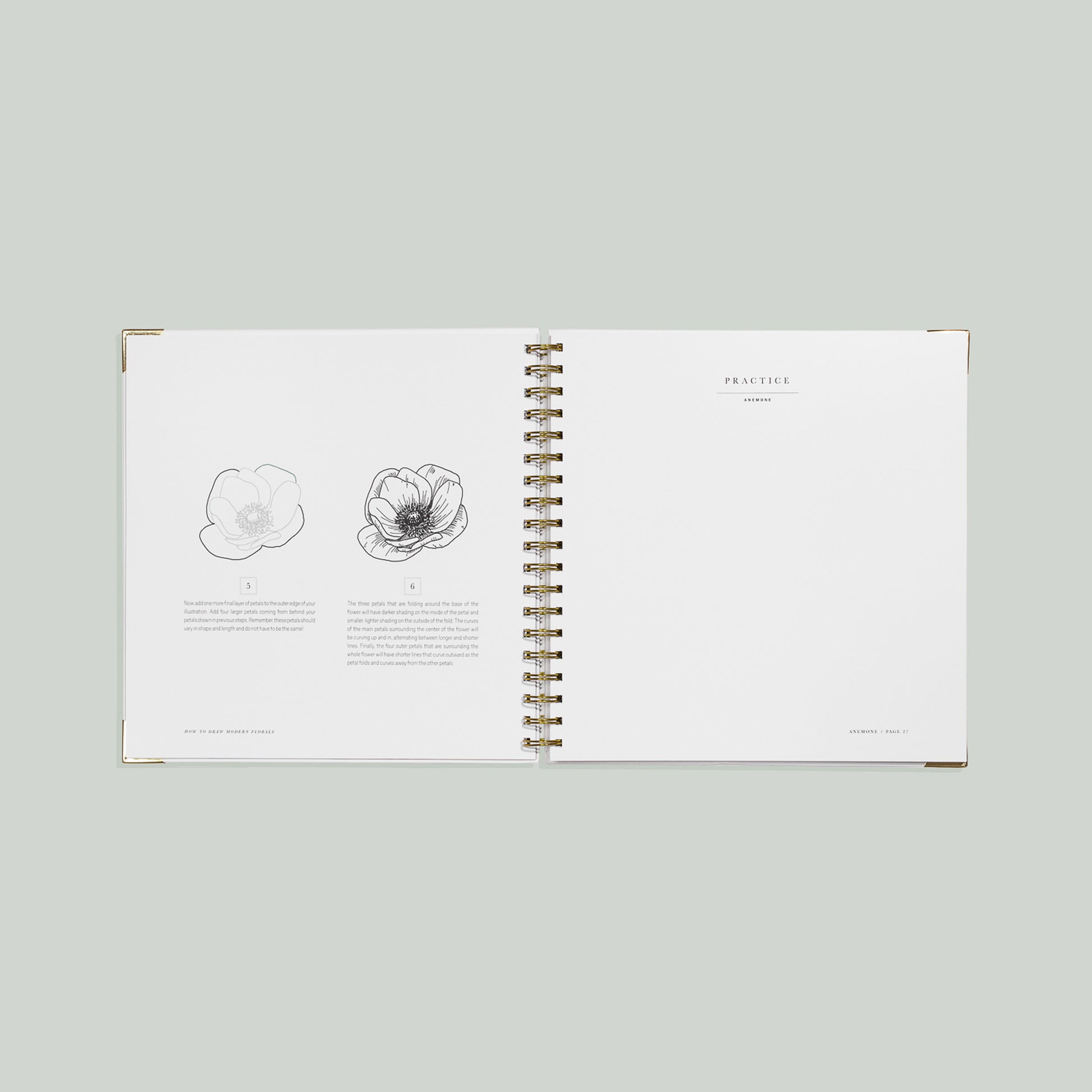 How To Draw Modern Florals (Spiral Bound) by Alli Koch
