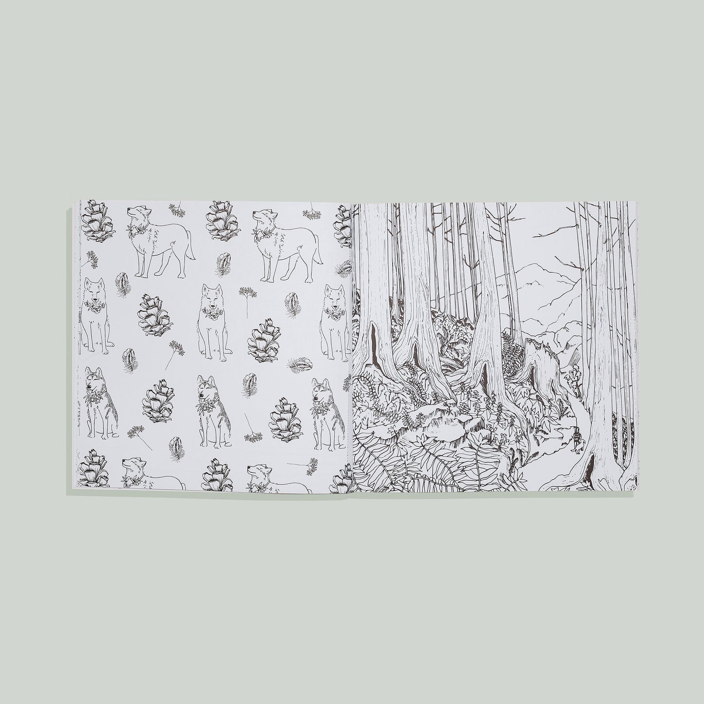 Plant Lady: A Coloring Book by Sarah Simon