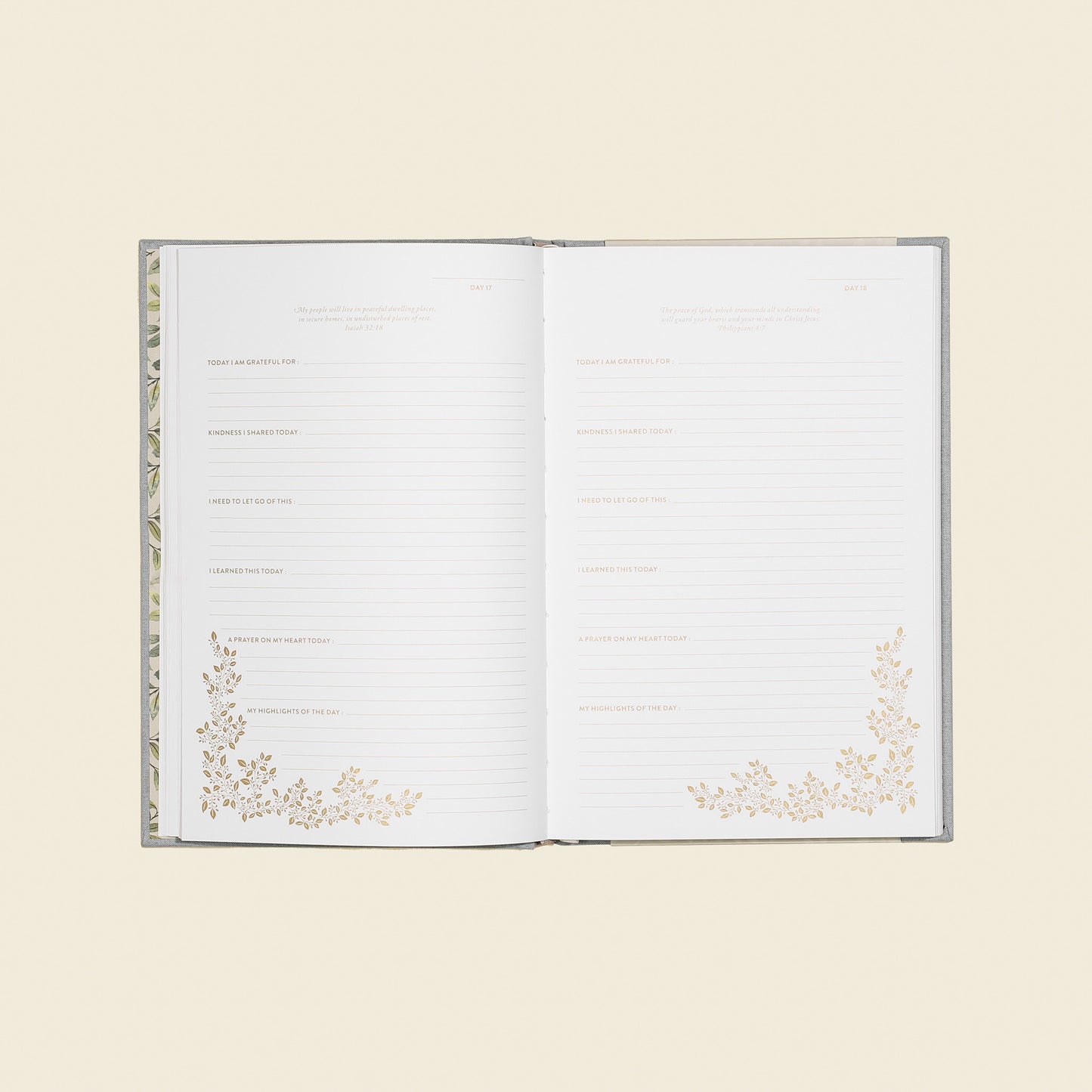 More Than Gratitude by Korie Herold