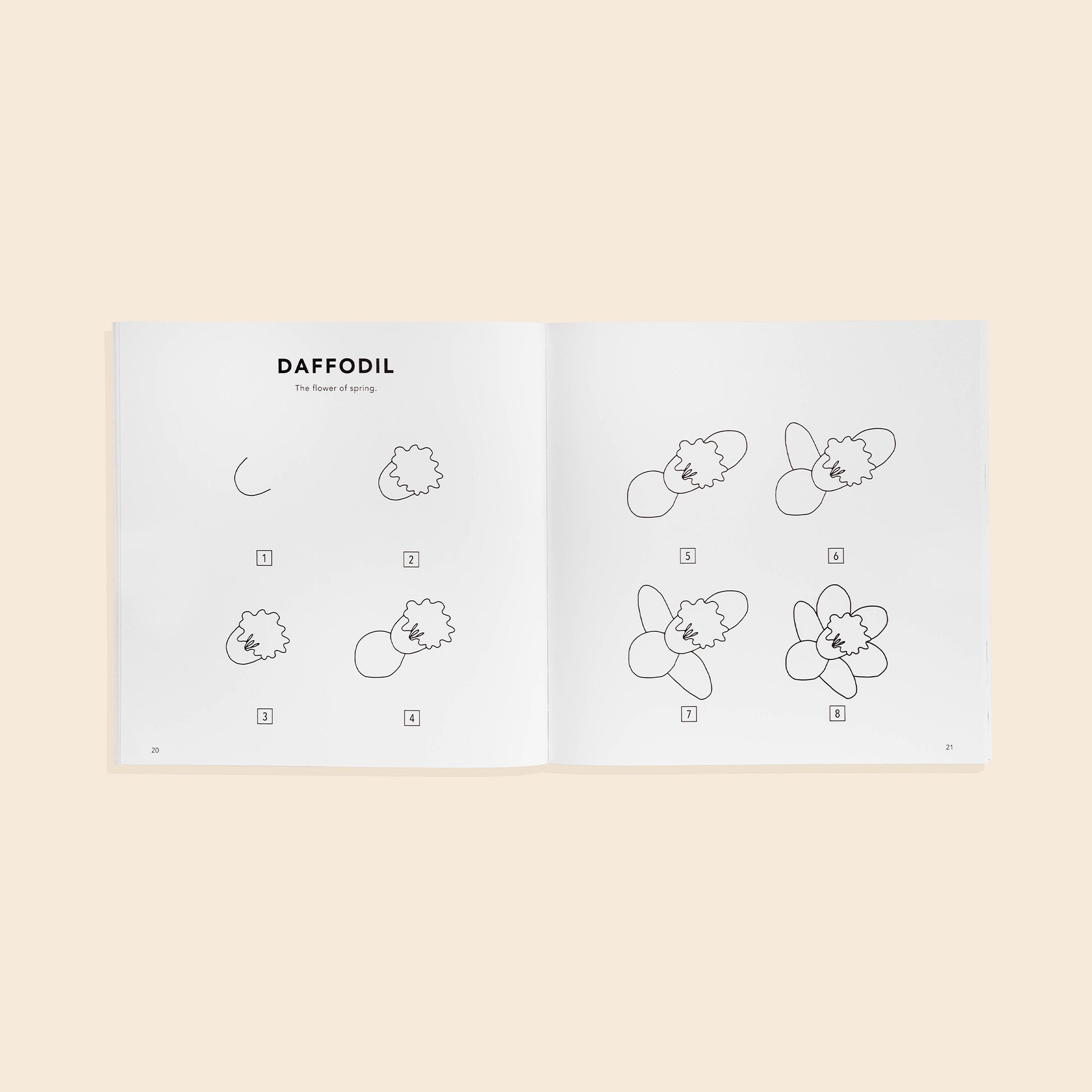 How To Draw Modern Flowers For Kids by Alli Koch