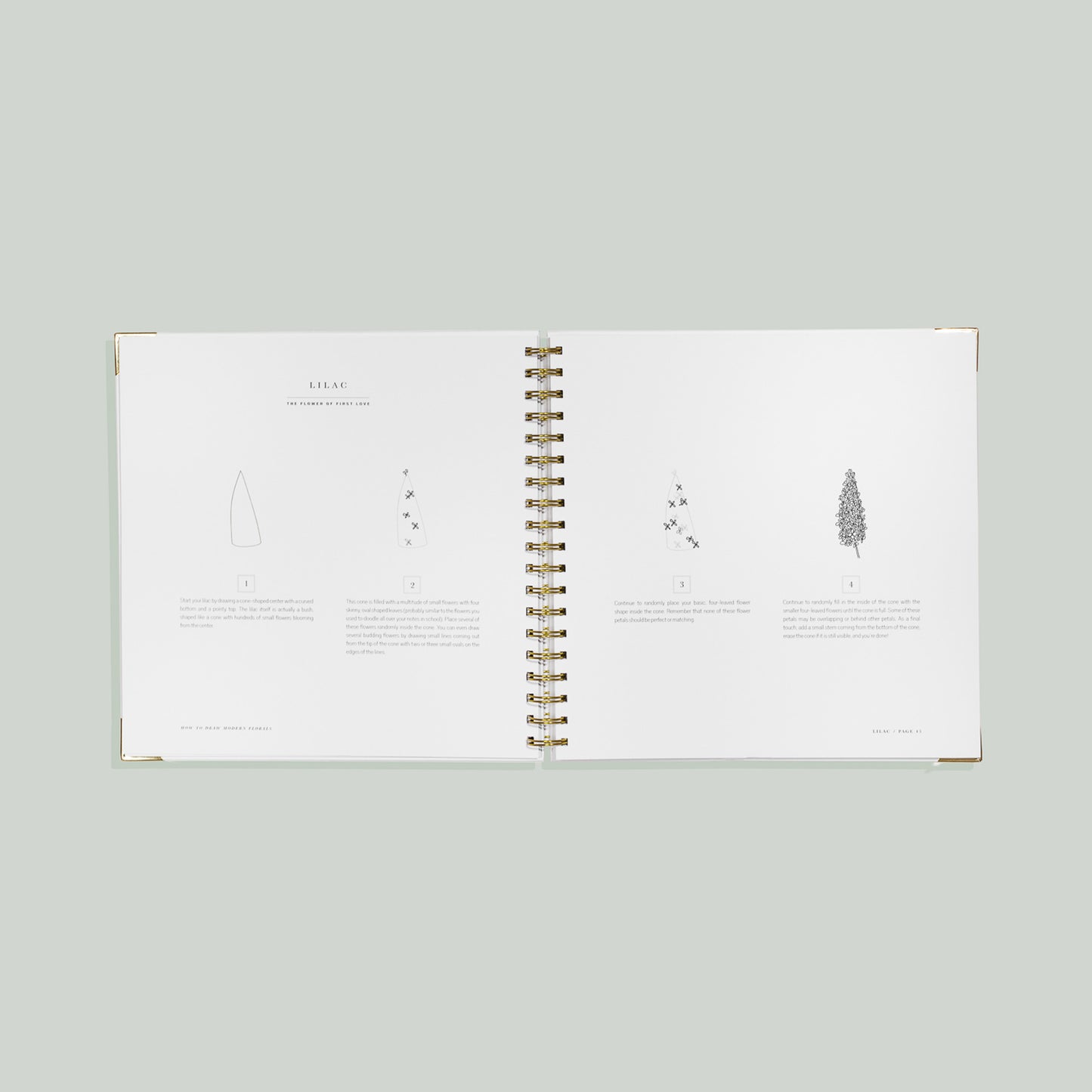 How To Draw Modern Florals (Spiral Bound) by Alli Koch