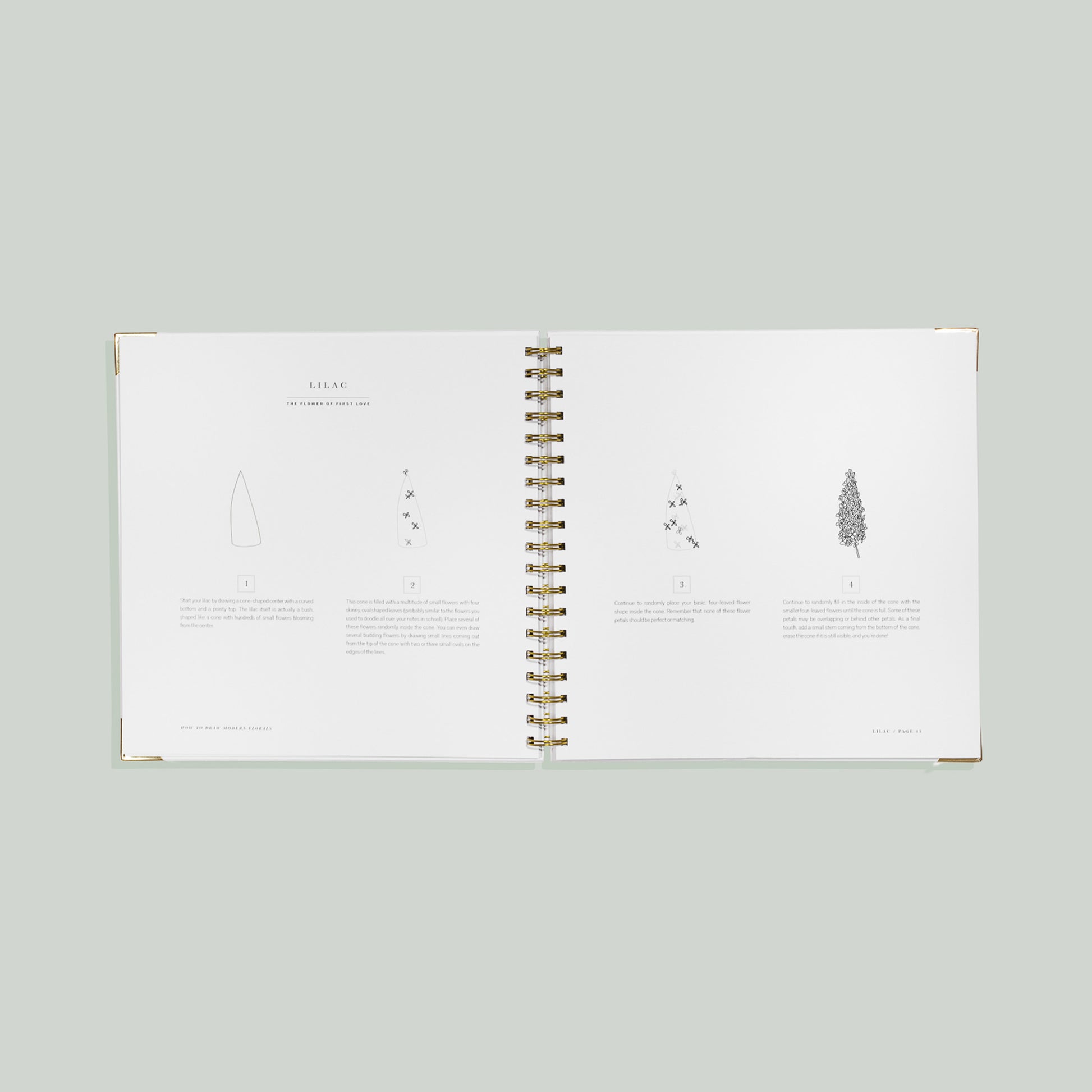 How To Draw Modern Florals (Spiral Bound) by Alli Koch