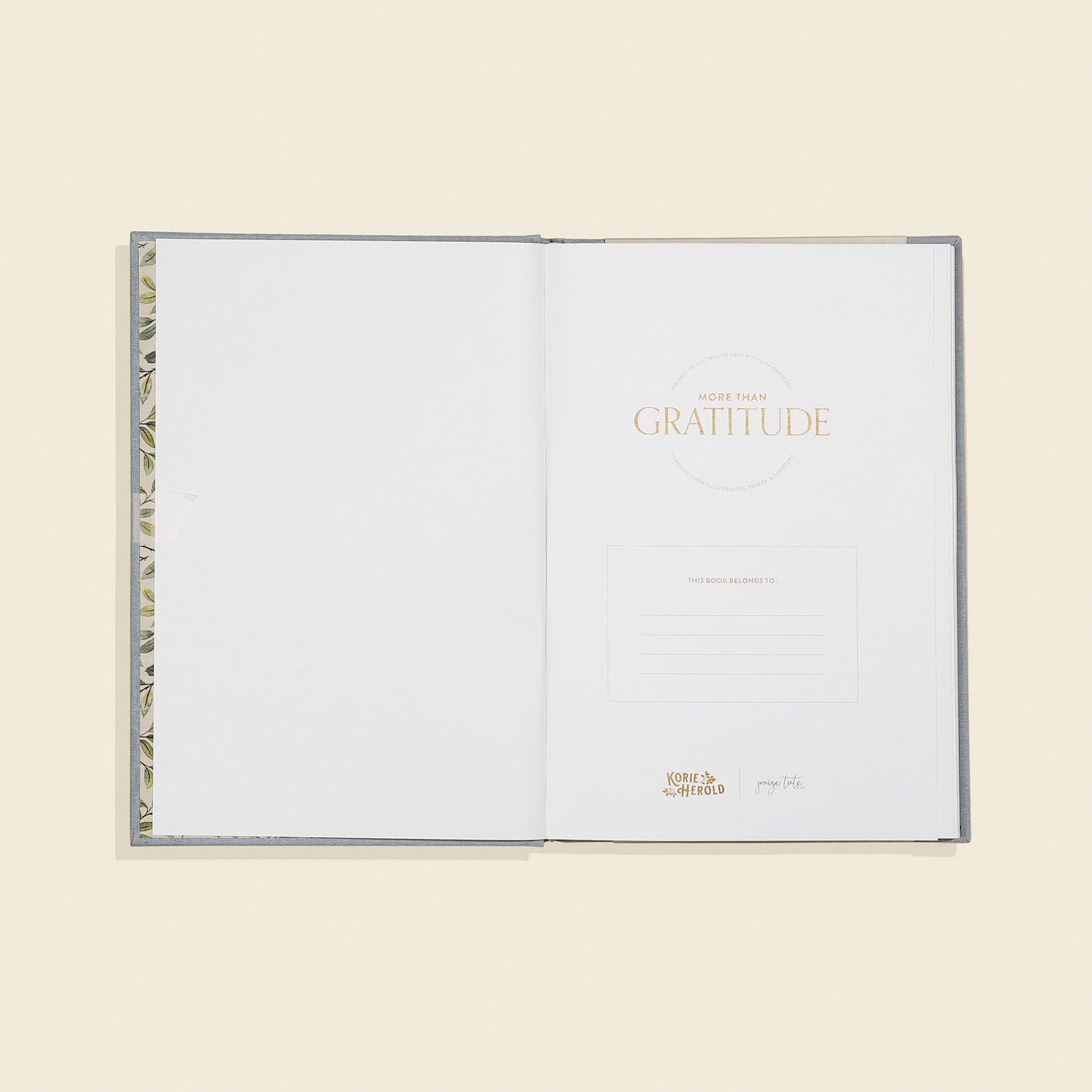 More Than Gratitude by Korie Herold