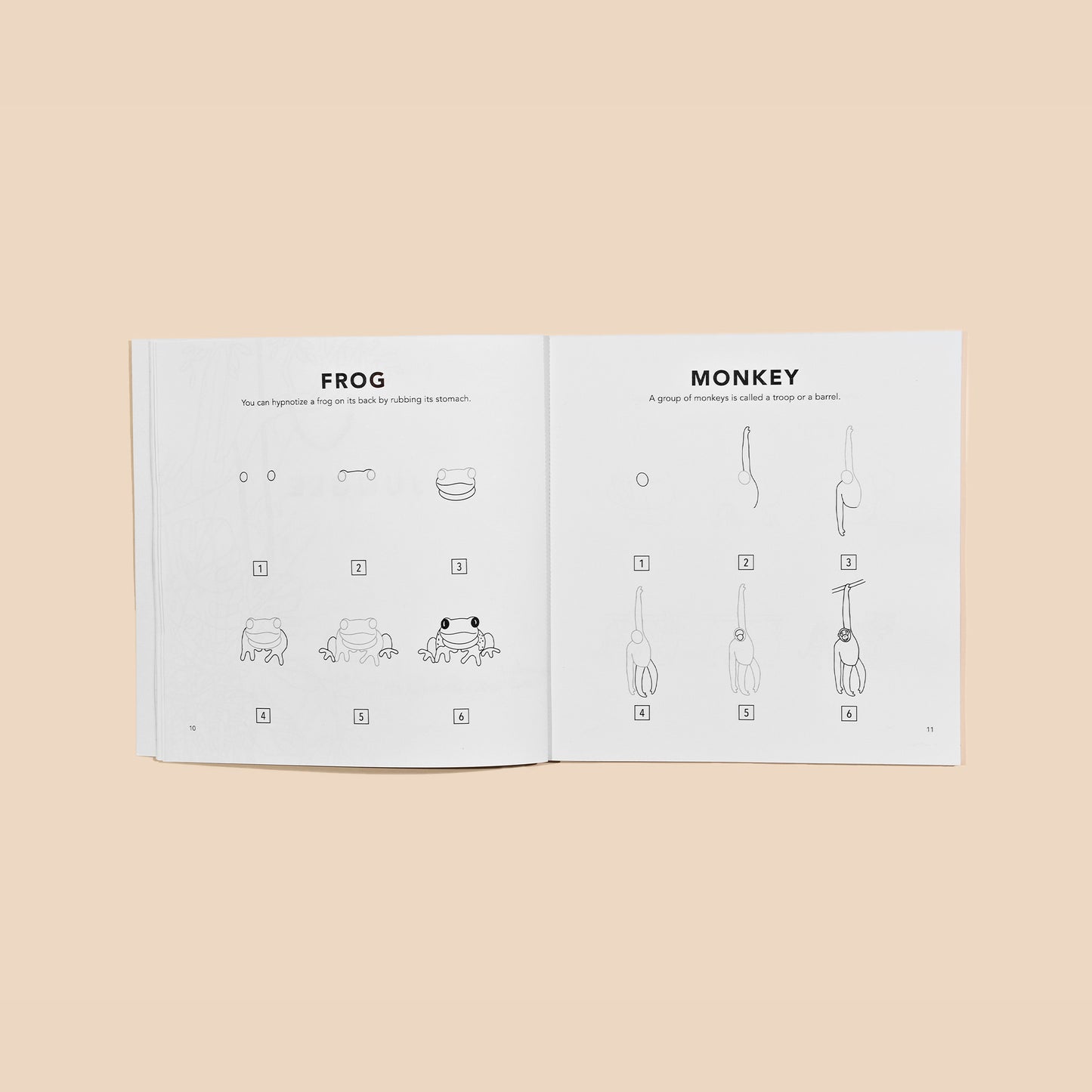 How to Draw All the Animals for Kids by Alli Koch