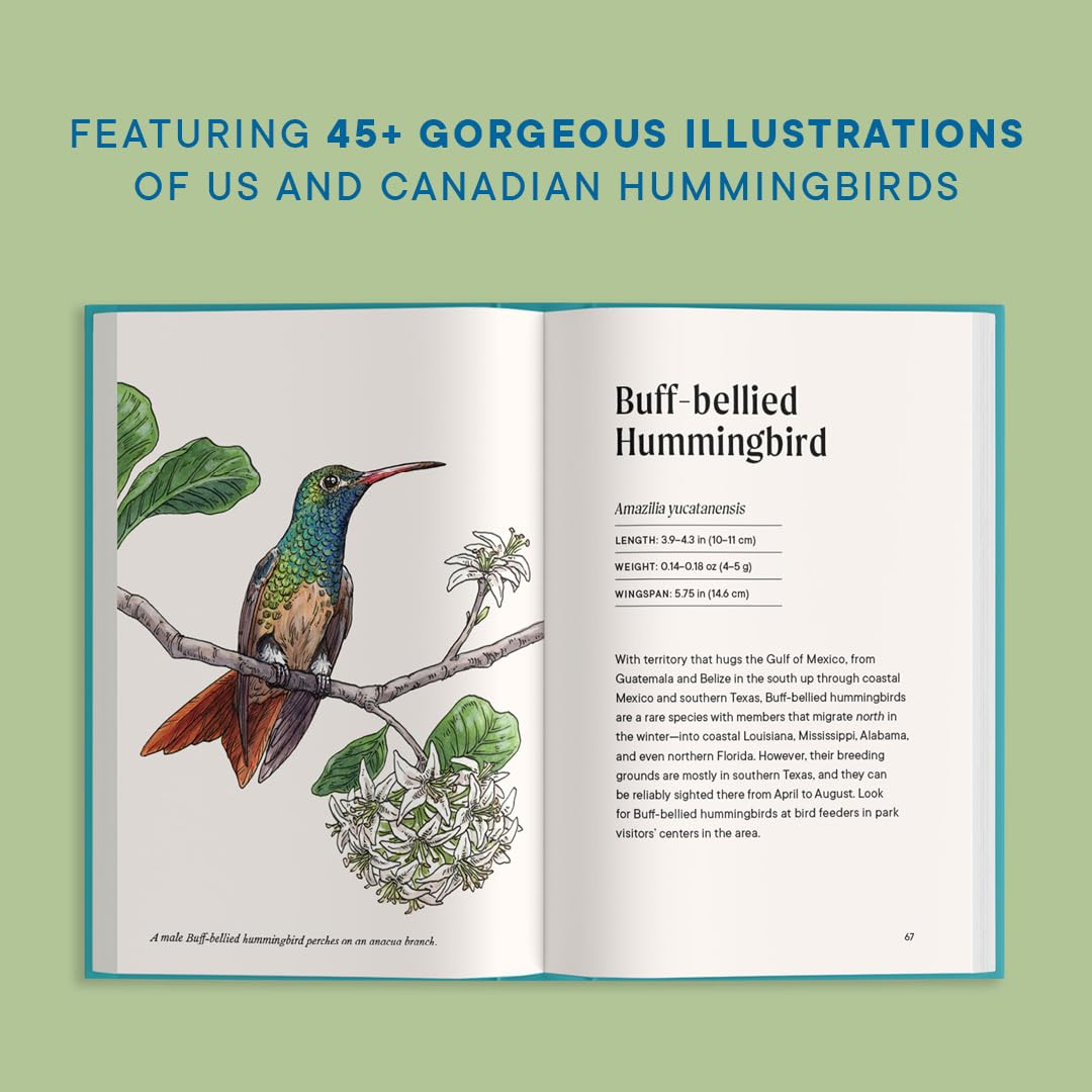 A Little Book of Hummingbirds by Tara Austen Weaver