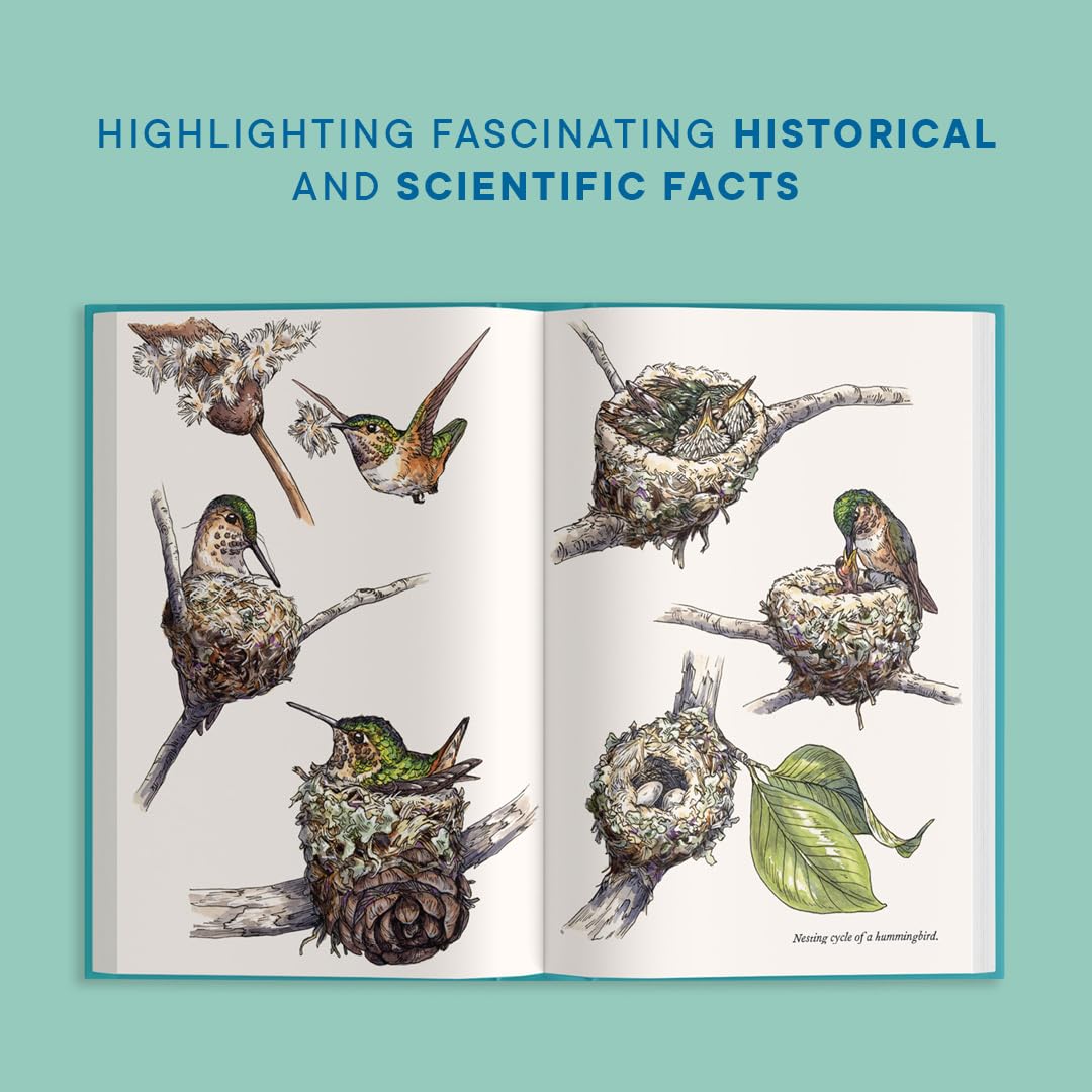A Little Book of Hummingbirds by Tara Austen Weaver