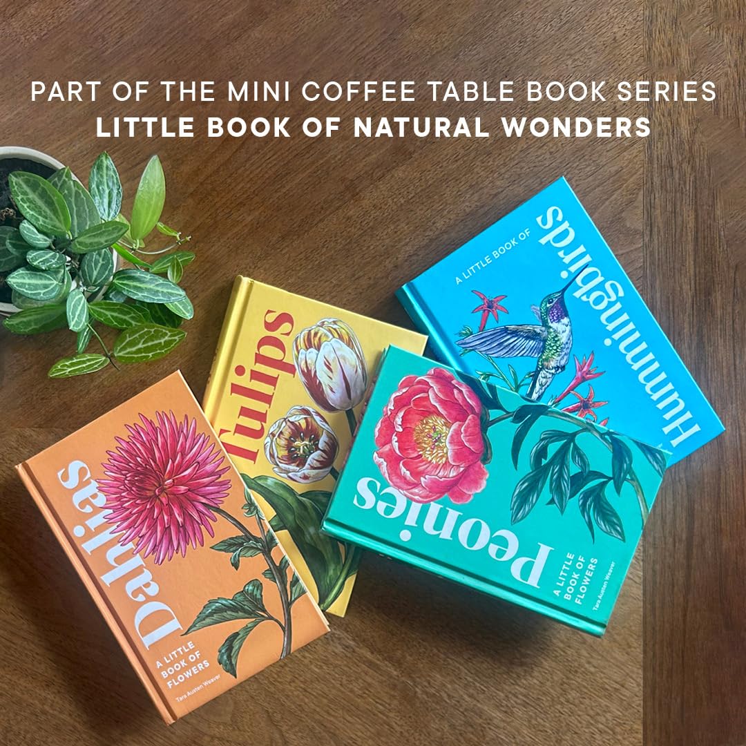 A Little Book of Hummingbirds by Tara Austen Weaver