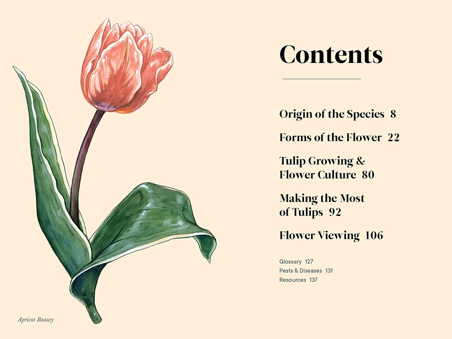 A Little Book of Tulips by Tara Austen Weaver