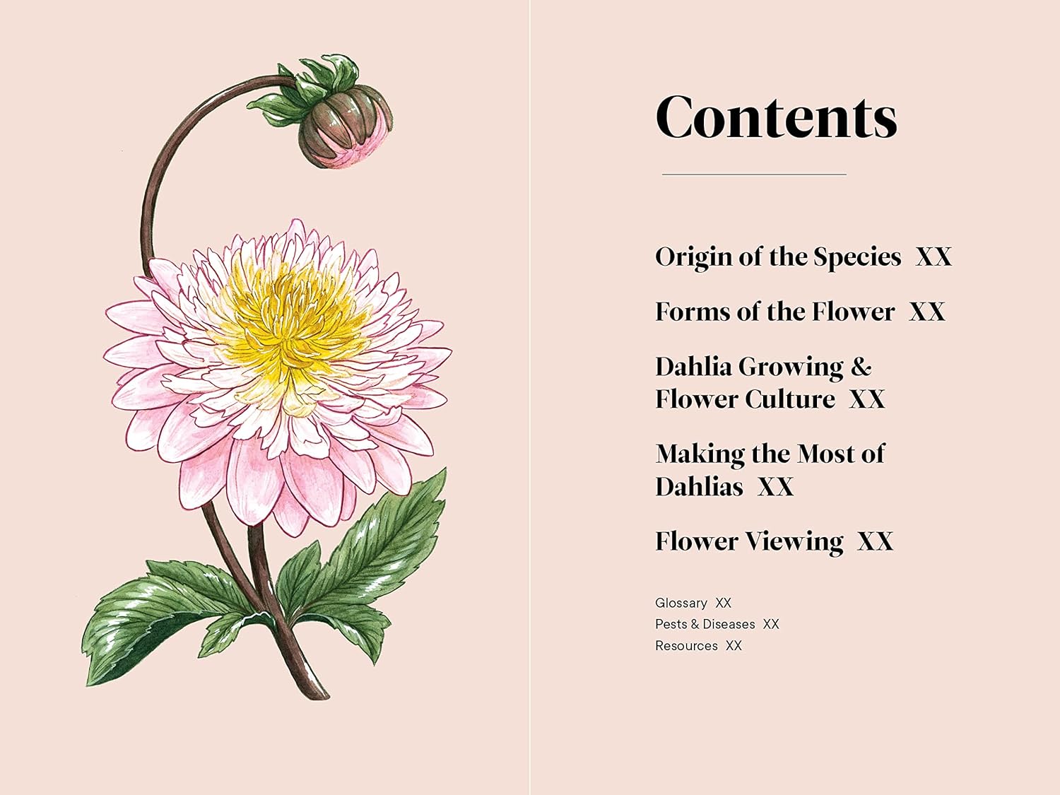 A Little Book of Dahlias by Tara Austen Weaver