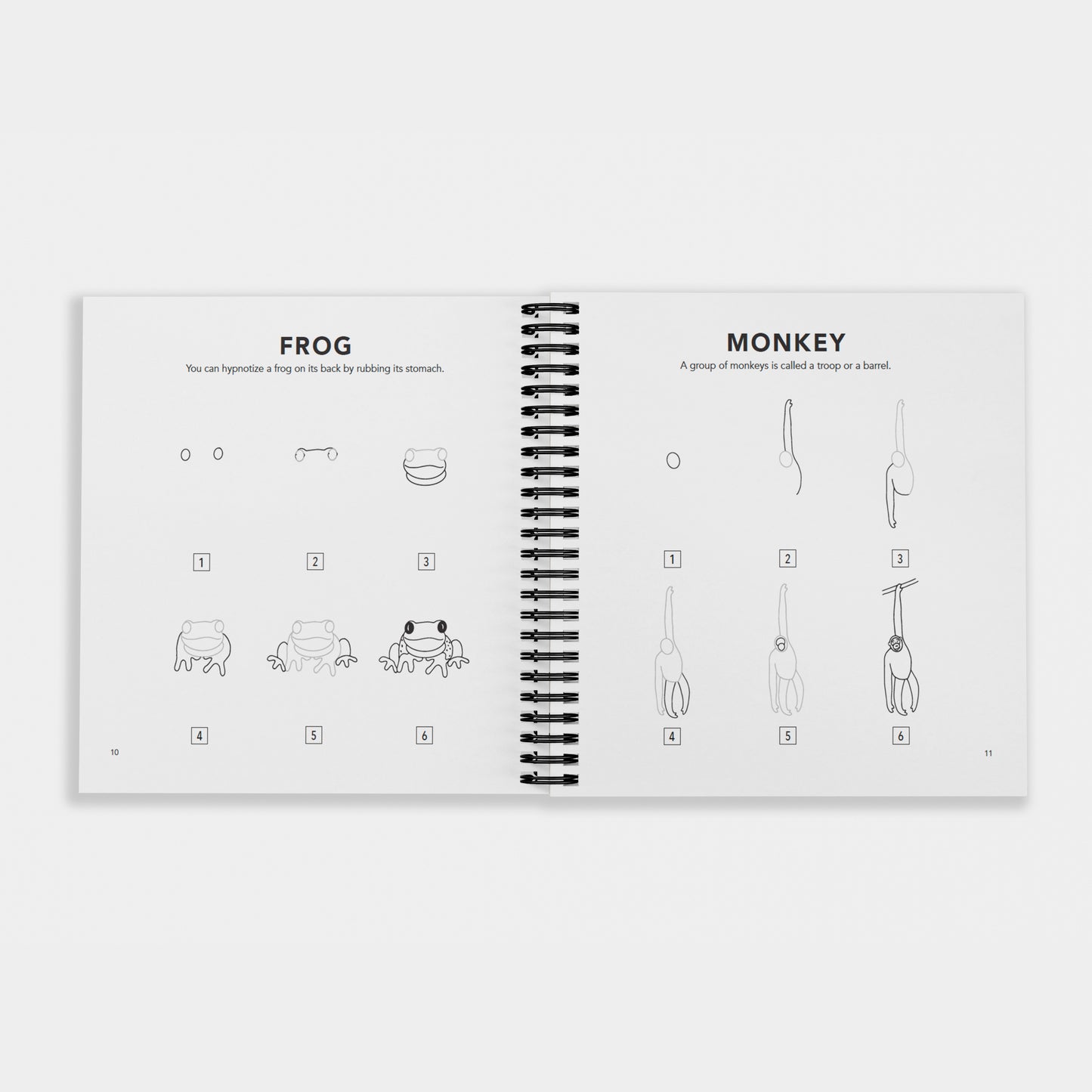 Interior pages of “How to Draw All the Animals for Kids” by Alli Koch, showing step-by-step drawing guides for a frog and a monkey with simple numbered illustrations and fun animal facts