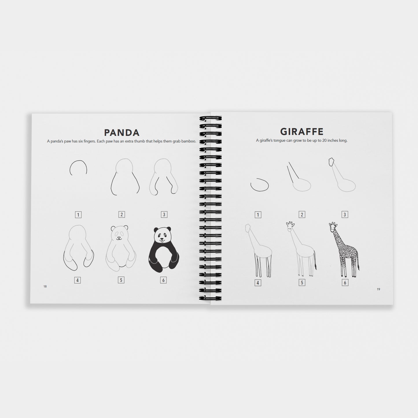 Interior pages of “How to Draw All the Animals for Kids” by Alli Koch, showing spiral bound step-by-step drawing guides for a panda and a giraffe with simple numbered illustrations and fun animal facts