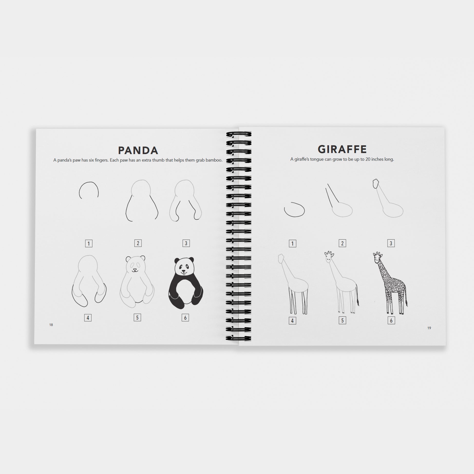 Interior pages of “How to Draw All the Animals for Kids” by Alli Koch, showing spiral bound step-by-step drawing guides for a panda and a giraffe with simple numbered illustrations and fun animal facts