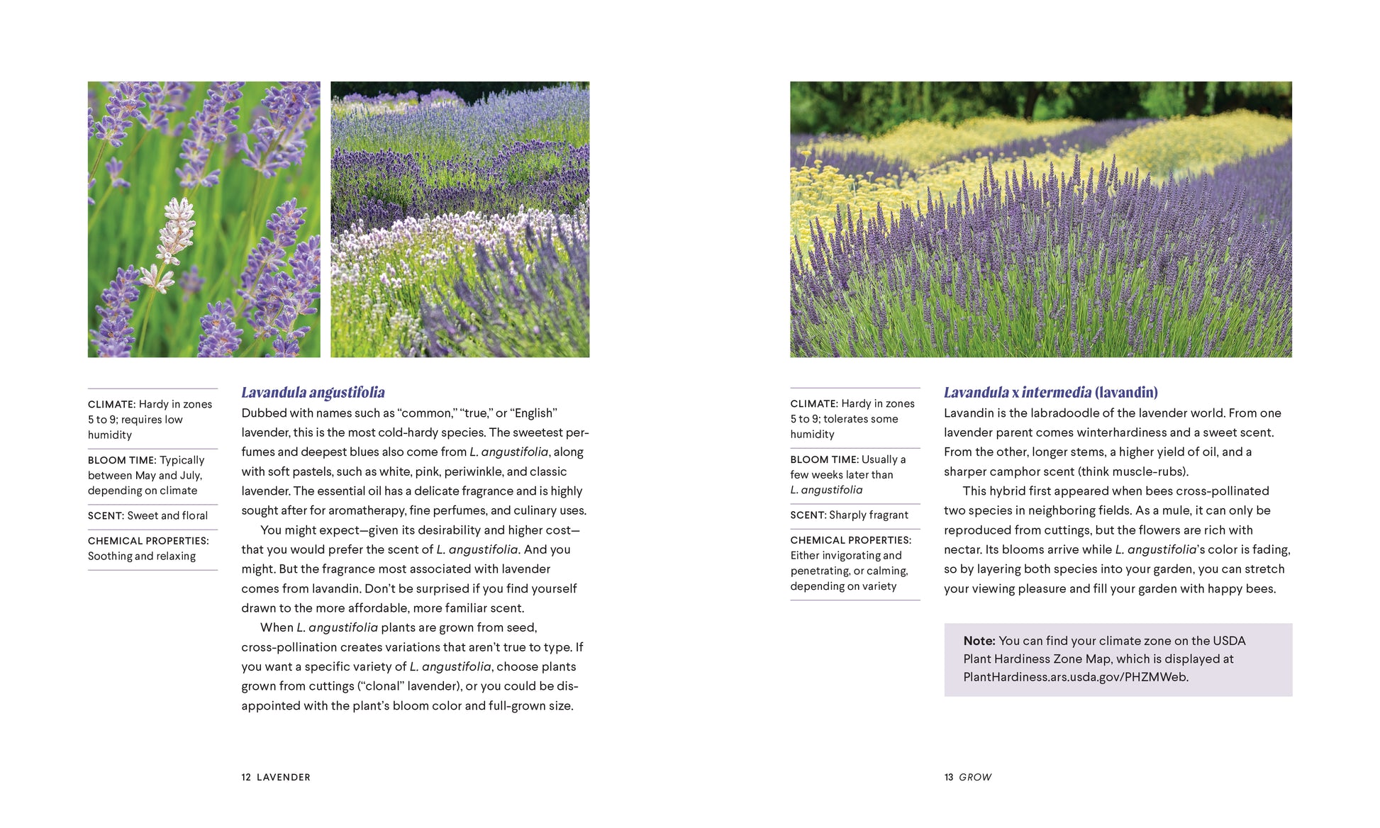lavender
natural healing book
medicinal plants book
lavender scented things
lavender oil
lavendar oil
herbal apothecary book
lavender essential oil
lavender candle
healing herbs book
essential oils therapeutic grade
calming essential oil
cooking with essential oils
essential oil recipe book
cooking with herbs
essential oils for healing
cooking lavender
aromatherapy book
lavender aromatherapy
healing herbs
lavender herb
essential oil book
natural remedies
medicinal herbs
herbal books
herb garden