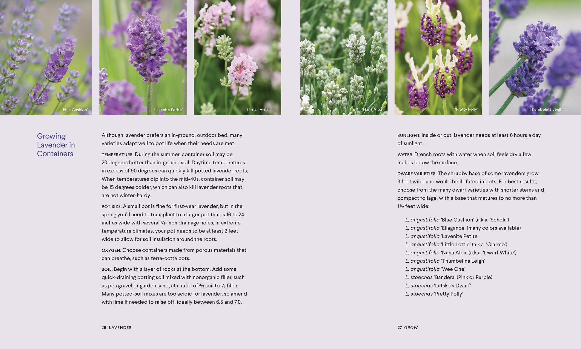 lavender
natural healing book
medicinal plants book
lavender scented things
lavender oil
lavendar oil
herbal apothecary book
lavender essential oil
lavender candle
healing herbs book
essential oils therapeutic grade
calming essential oil
cooking with essential oils
essential oil recipe book
cooking with herbs
essential oils for healing
cooking lavender
aromatherapy book
lavender aromatherapy
healing herbs
lavender herb
essential oil book
natural remedies
medicinal herbs
herbal books
herb garden