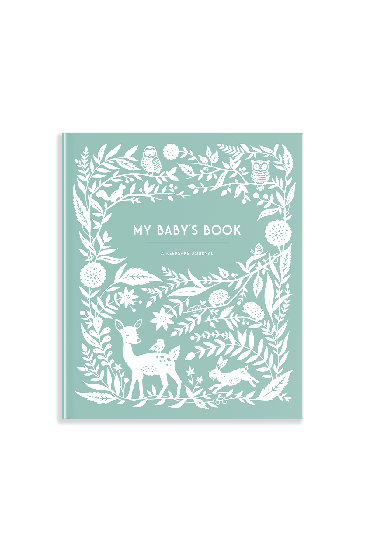 Book titled 'My Baby's Book' with white illustrations on a light blue background