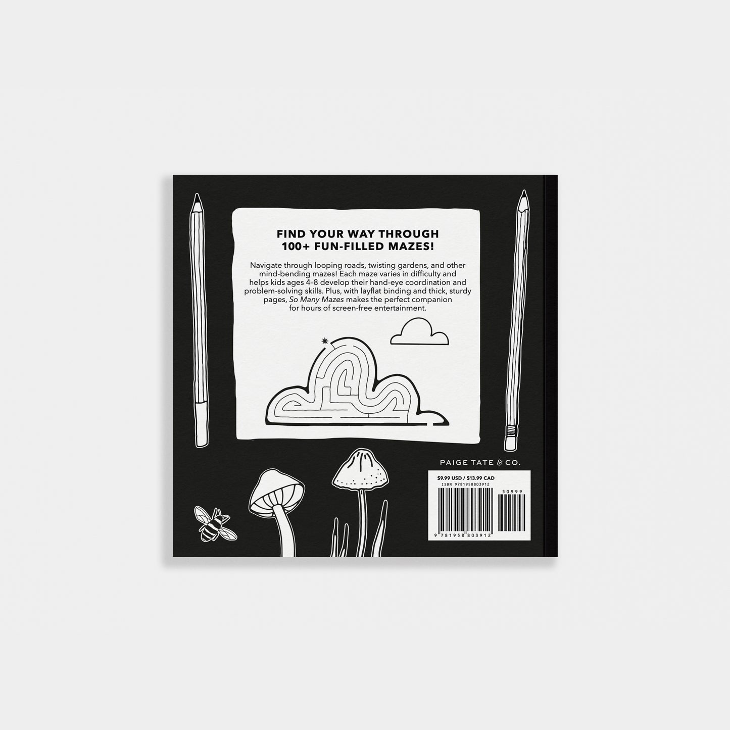 So Many Mazes by Alli Koch