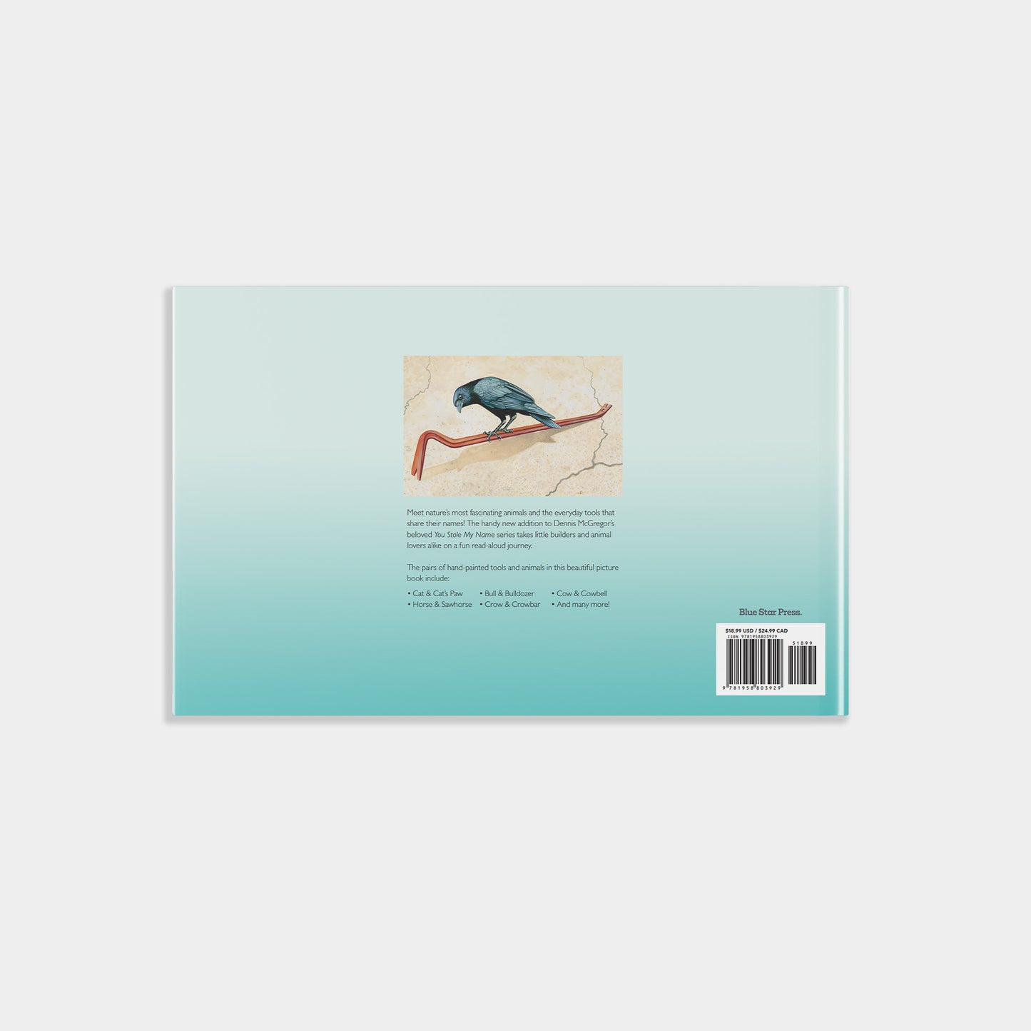 You Stole My Name Tools by Dennis McGregor