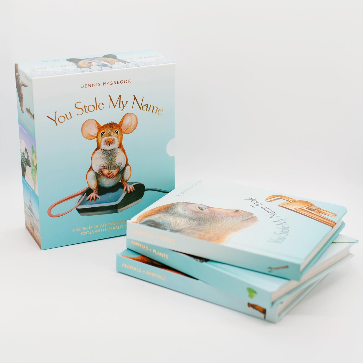 You Stole My Name Too Board Book Box Set by Dennis McGregor