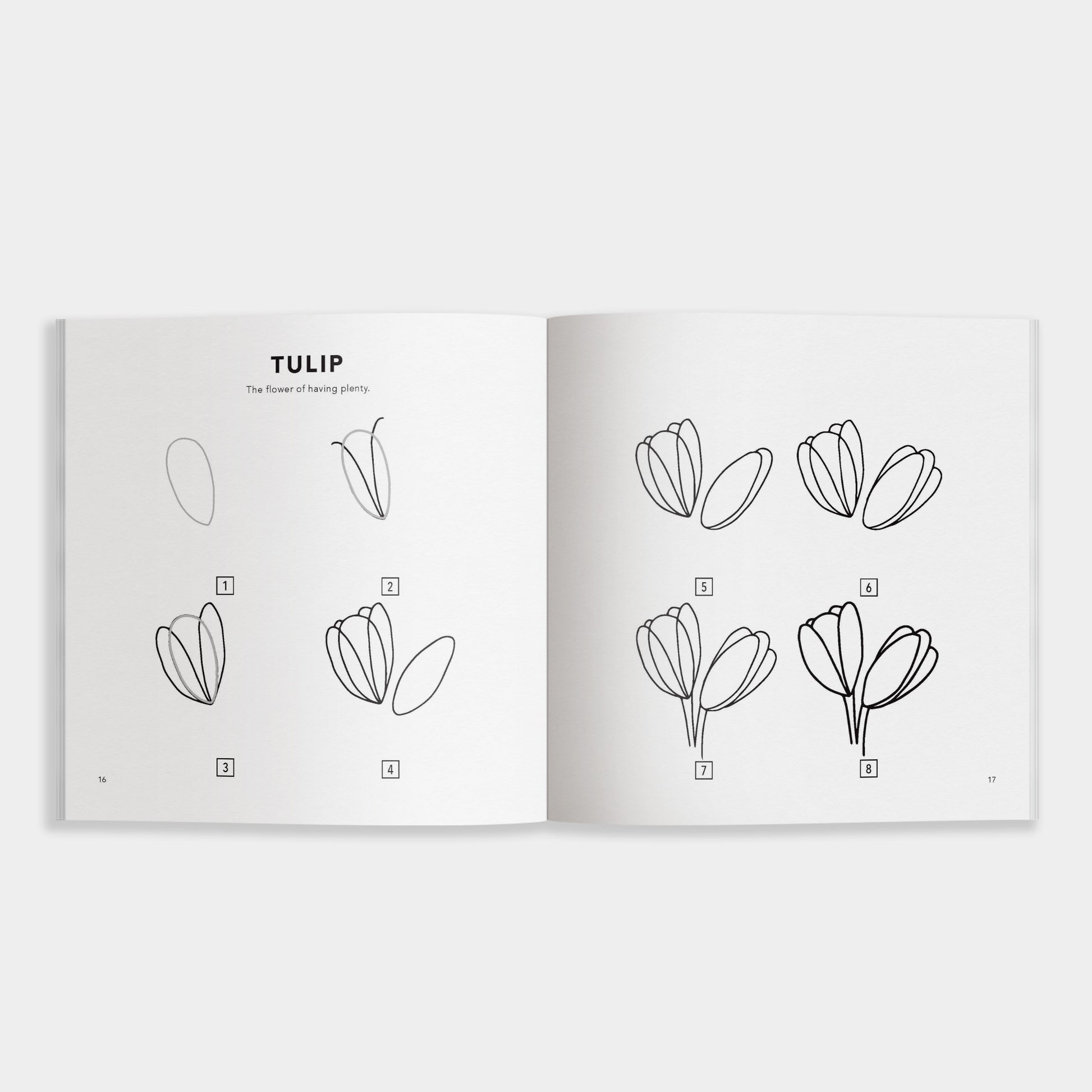 How to Draw Spring Things by Alli Koch