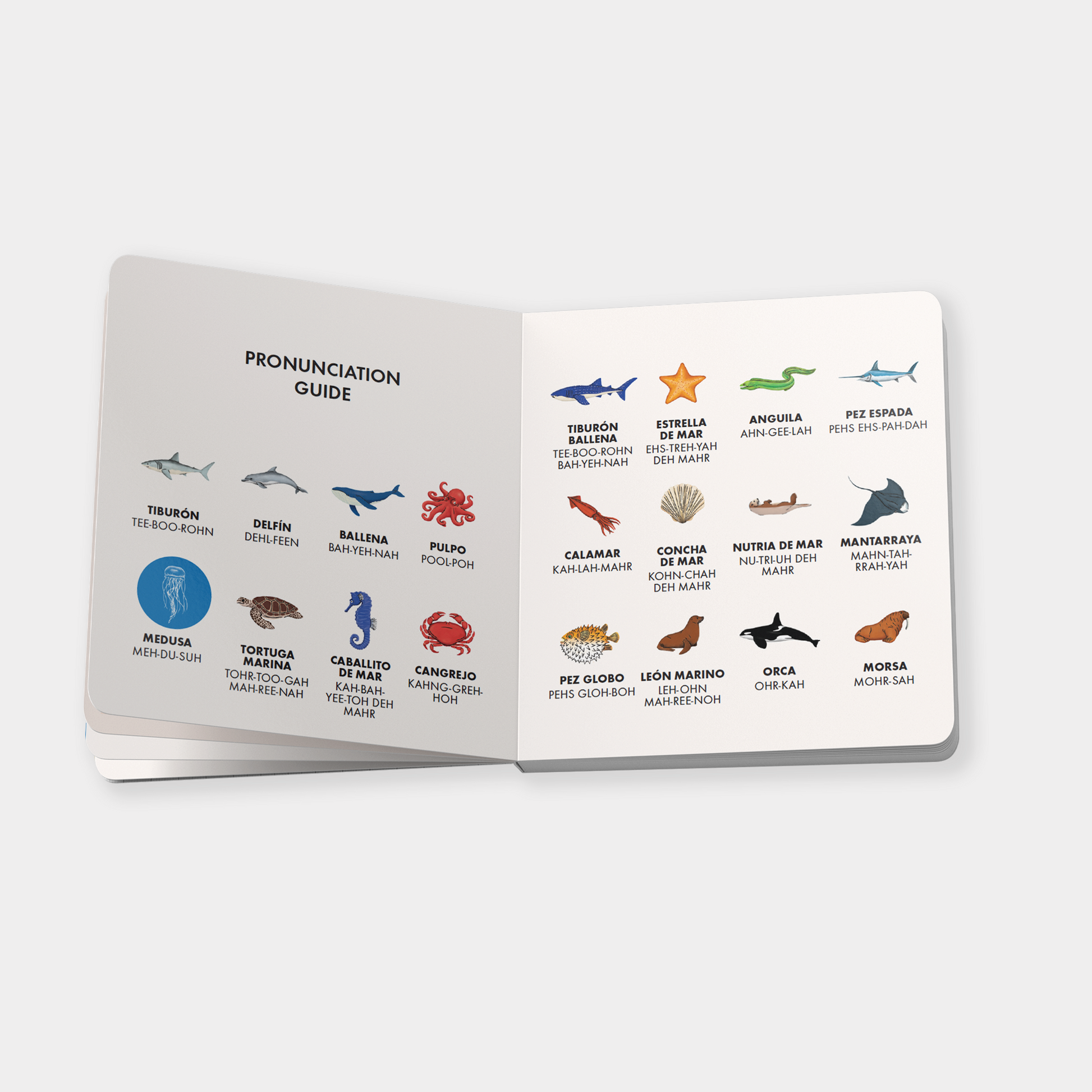 My First Bilingual Library available at Blue Star Press