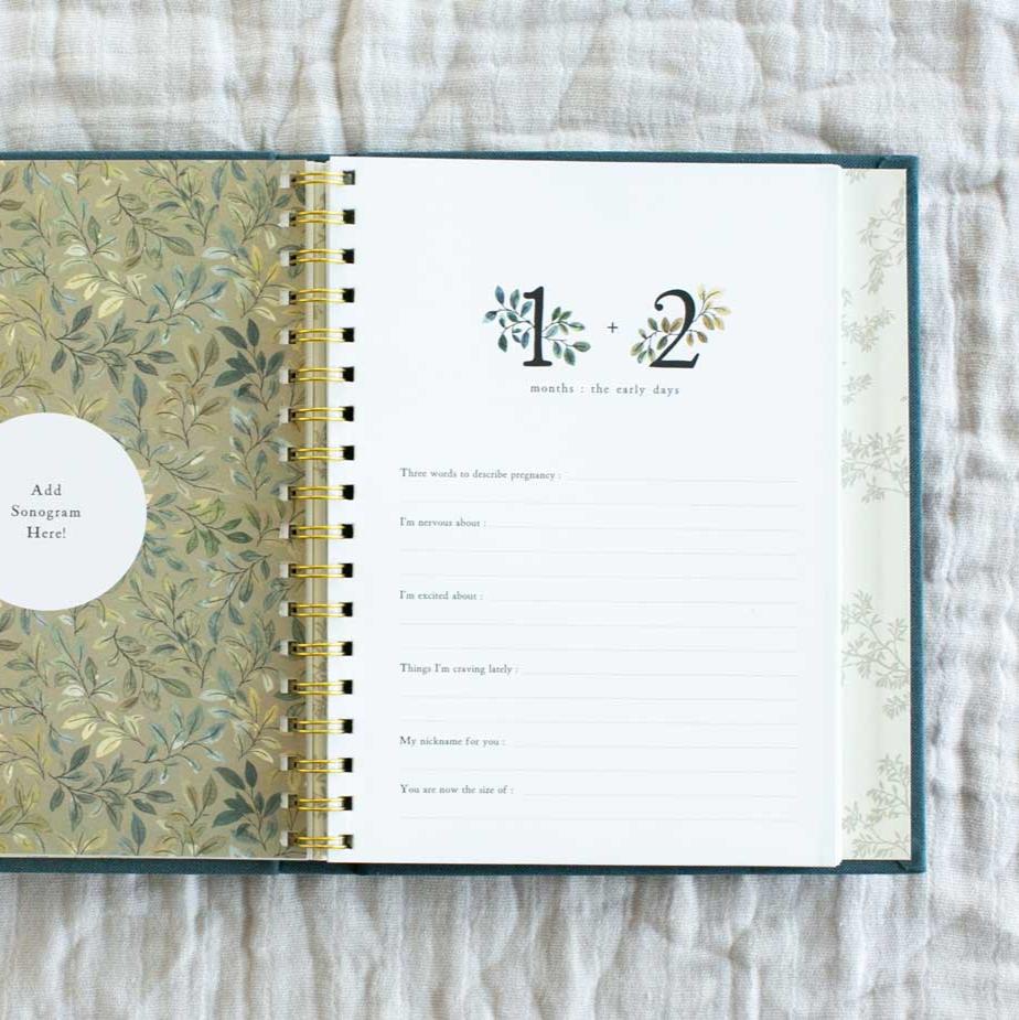 Growing You by Korie Herold