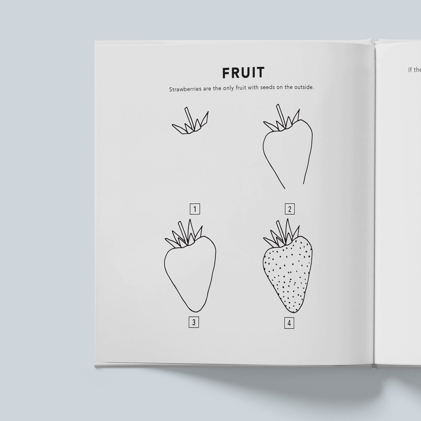 How To Draw All The Things For Kids by Alli Koch