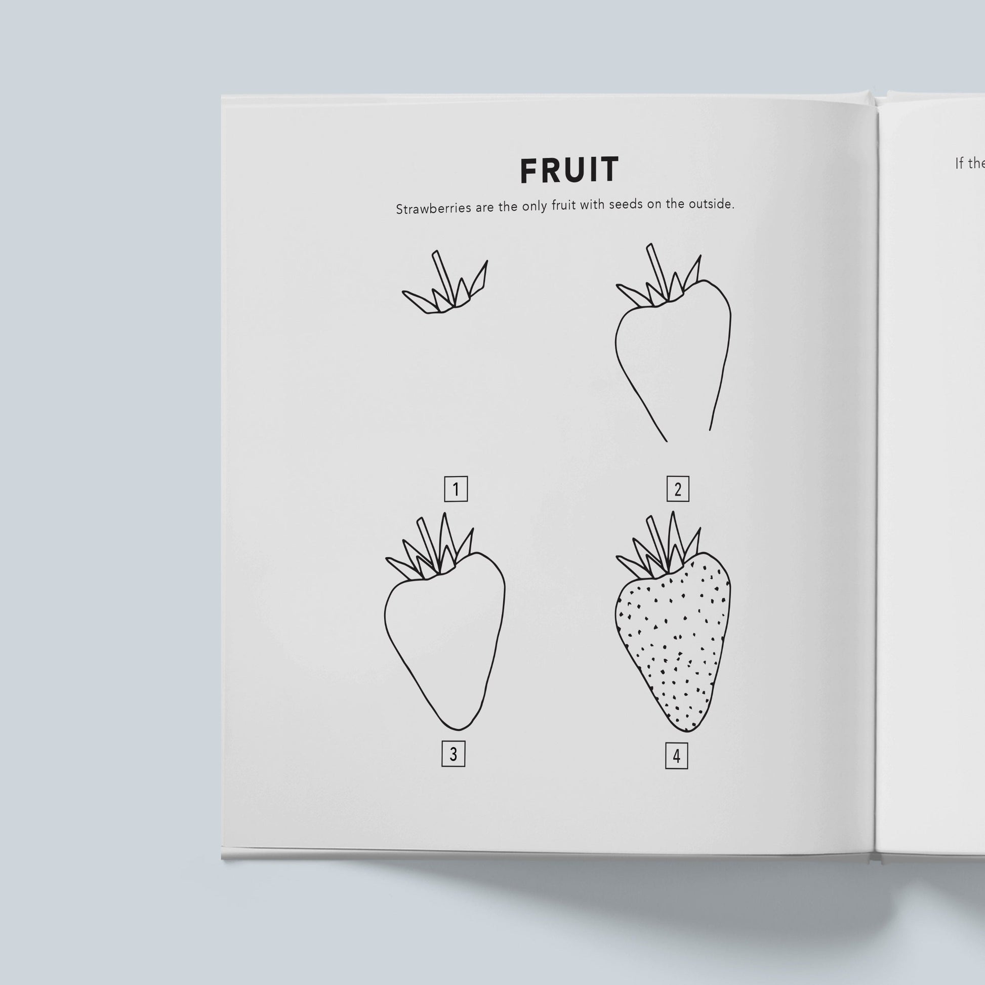 How To Draw All The Things For Kids by Alli Koch