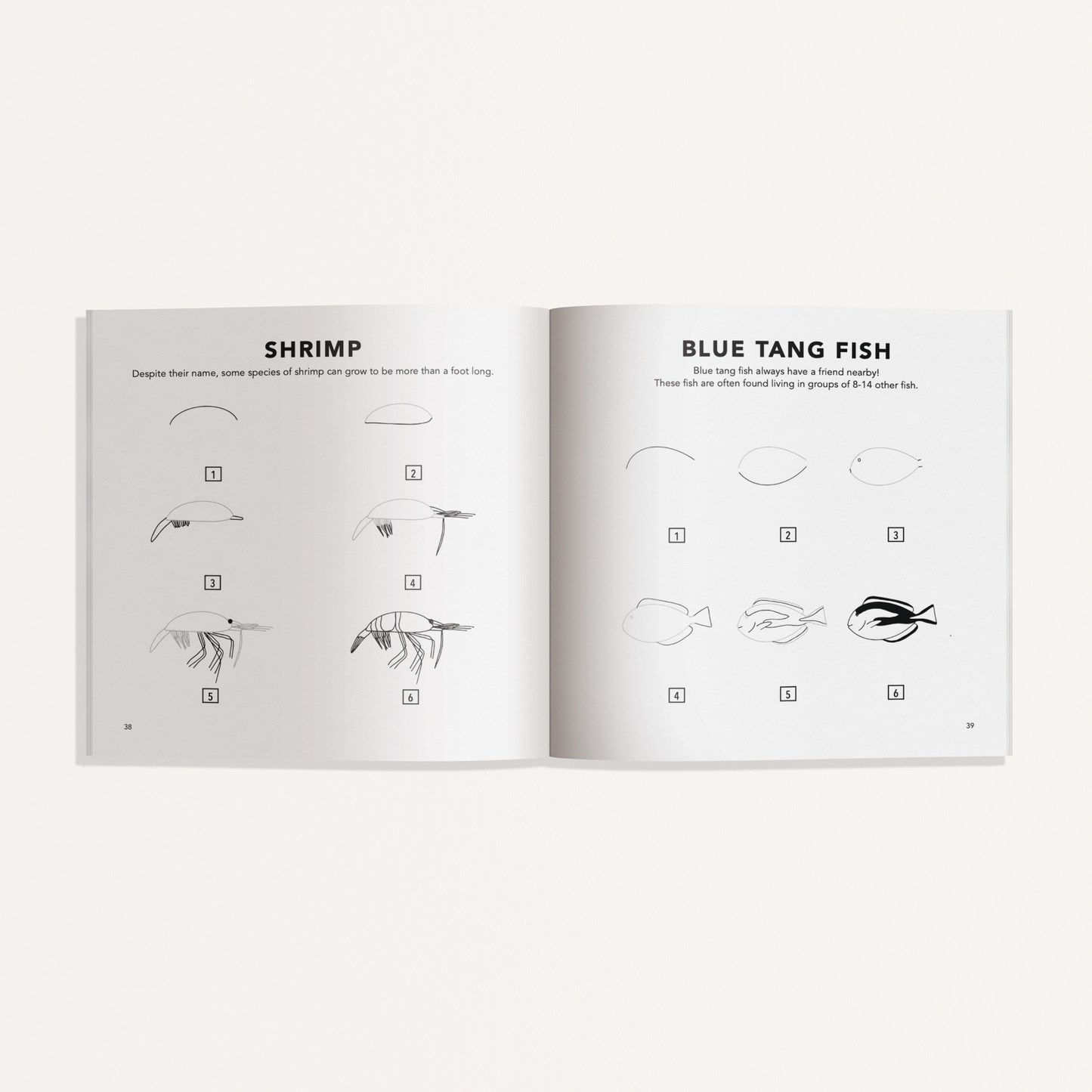 How to Draw Under the Sea for Kids (Mini) by Alli Koch