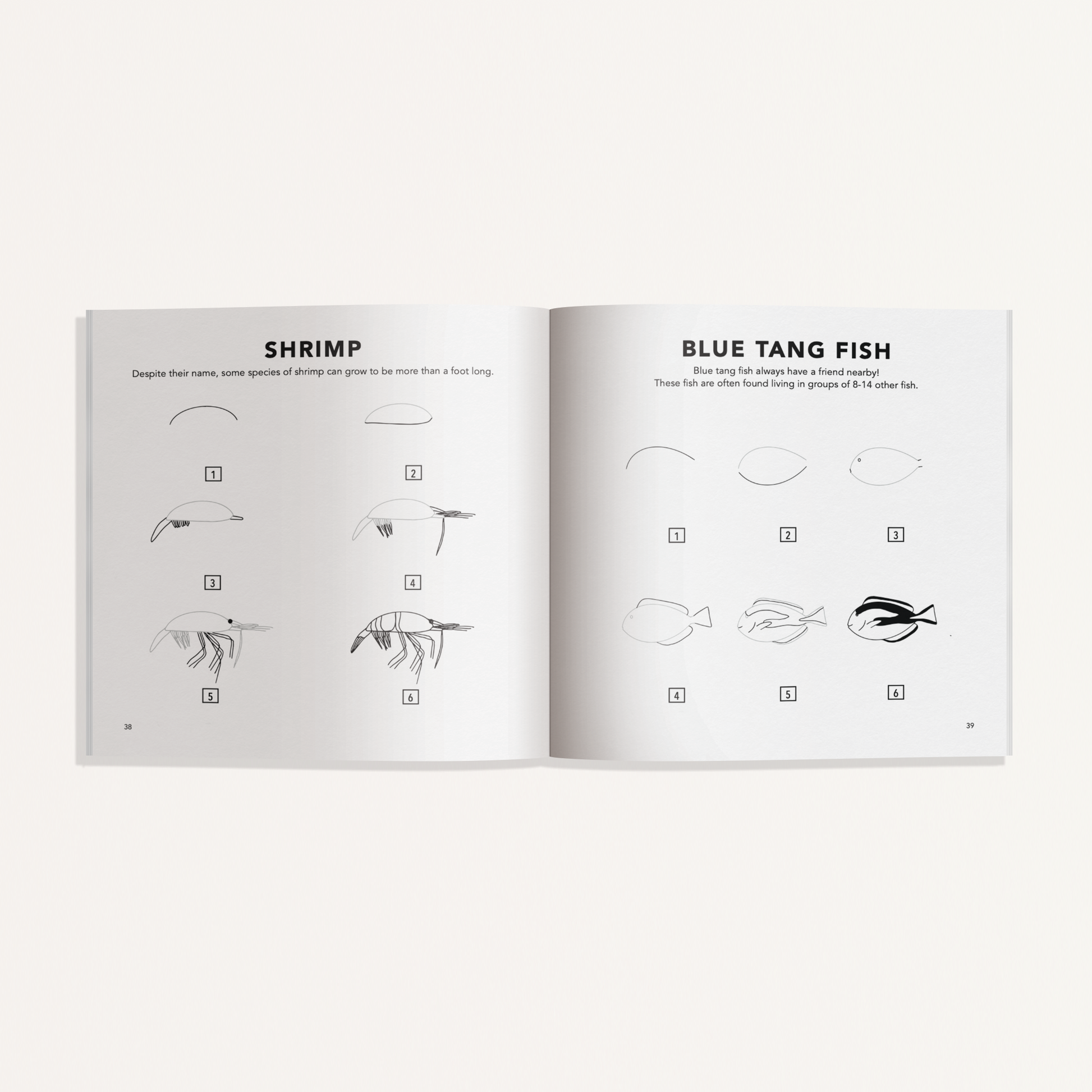 How to Draw Under the Sea for Kids (Mini) by Alli Koch