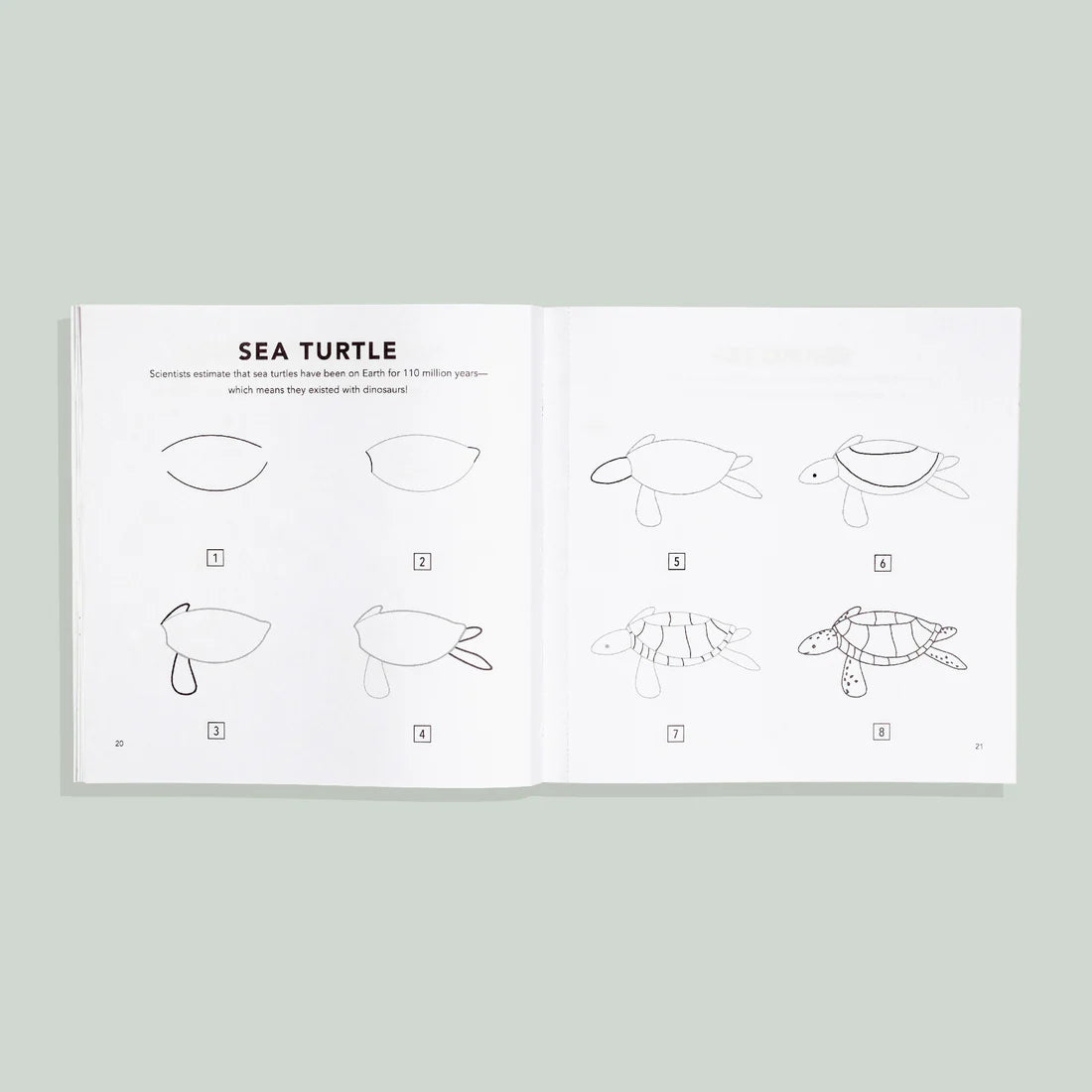 How to Draw Under the Sea for Kids by Alli Koch