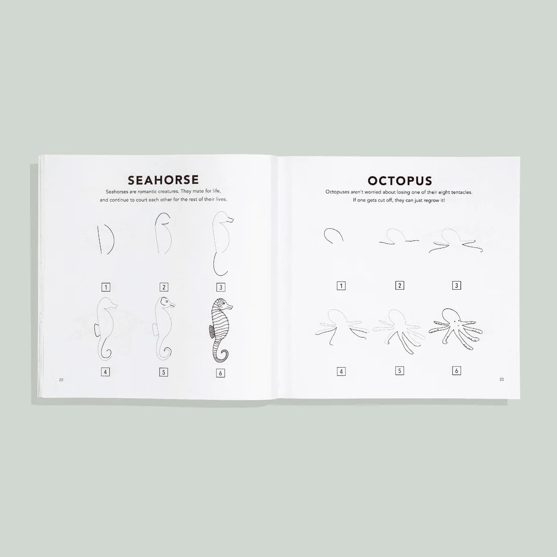 How to Draw Under the Sea for Kids by Alli Koch