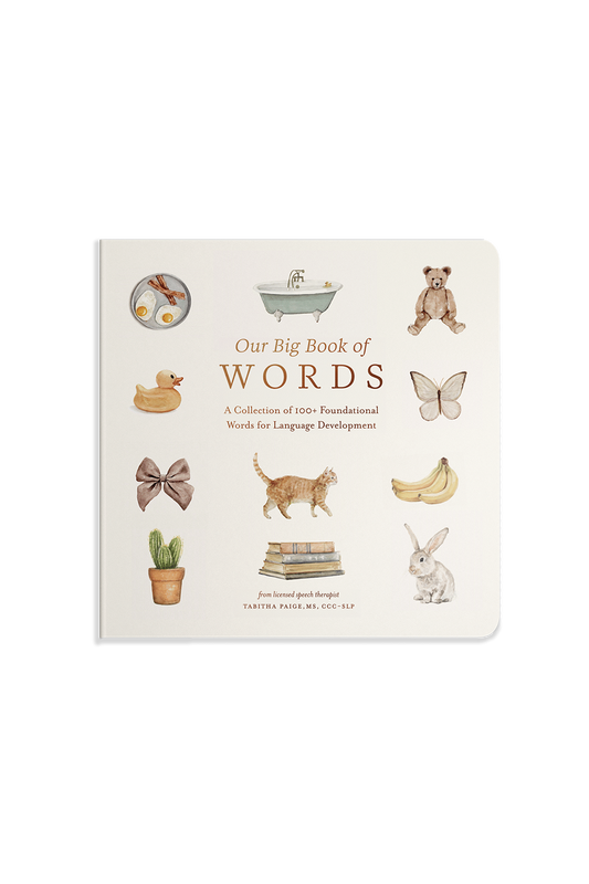 Our Big Book of Words by Tabitha Paige