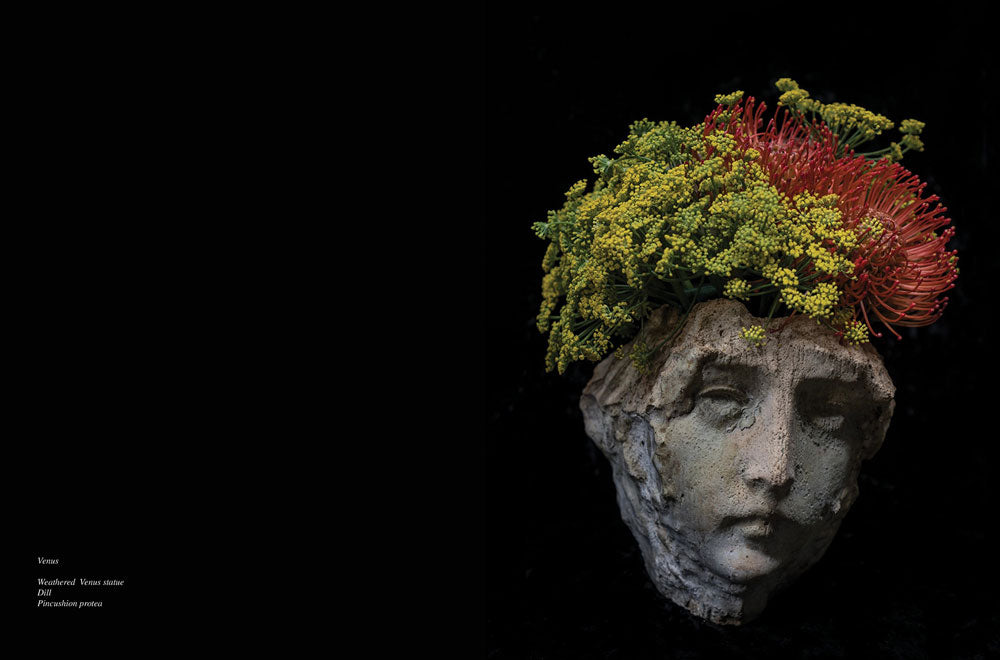 Transplants by Antonio Bond