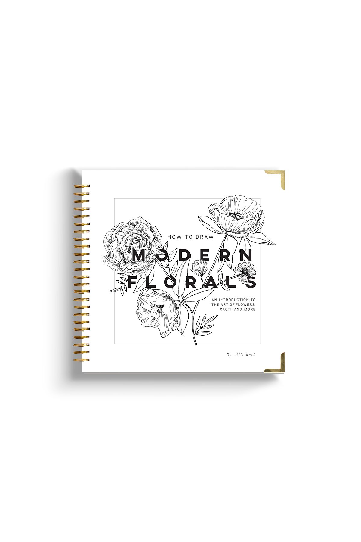 How To Draw Modern Florals (Spiral Bound) by Alli Koch