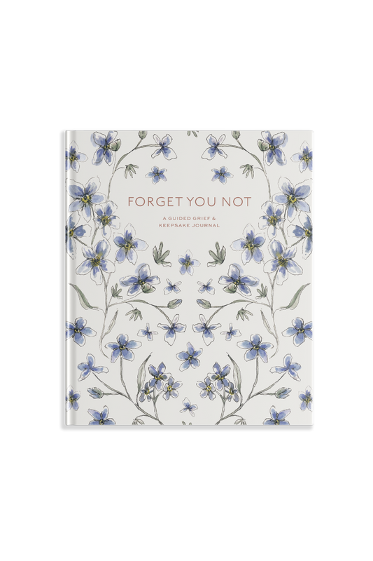 Forget You Not by Brittany DeSantis