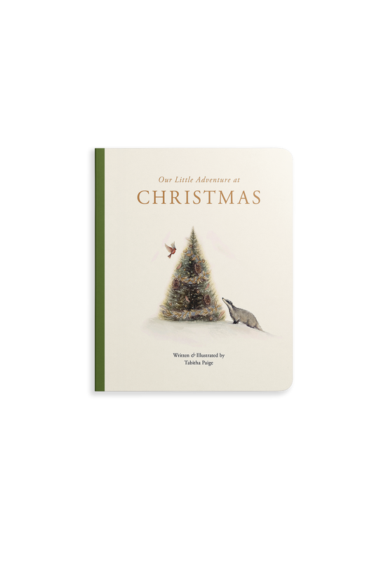 Book cover of 'One Little Adventure at Christmas' with a Christmas tree and birds on a white background