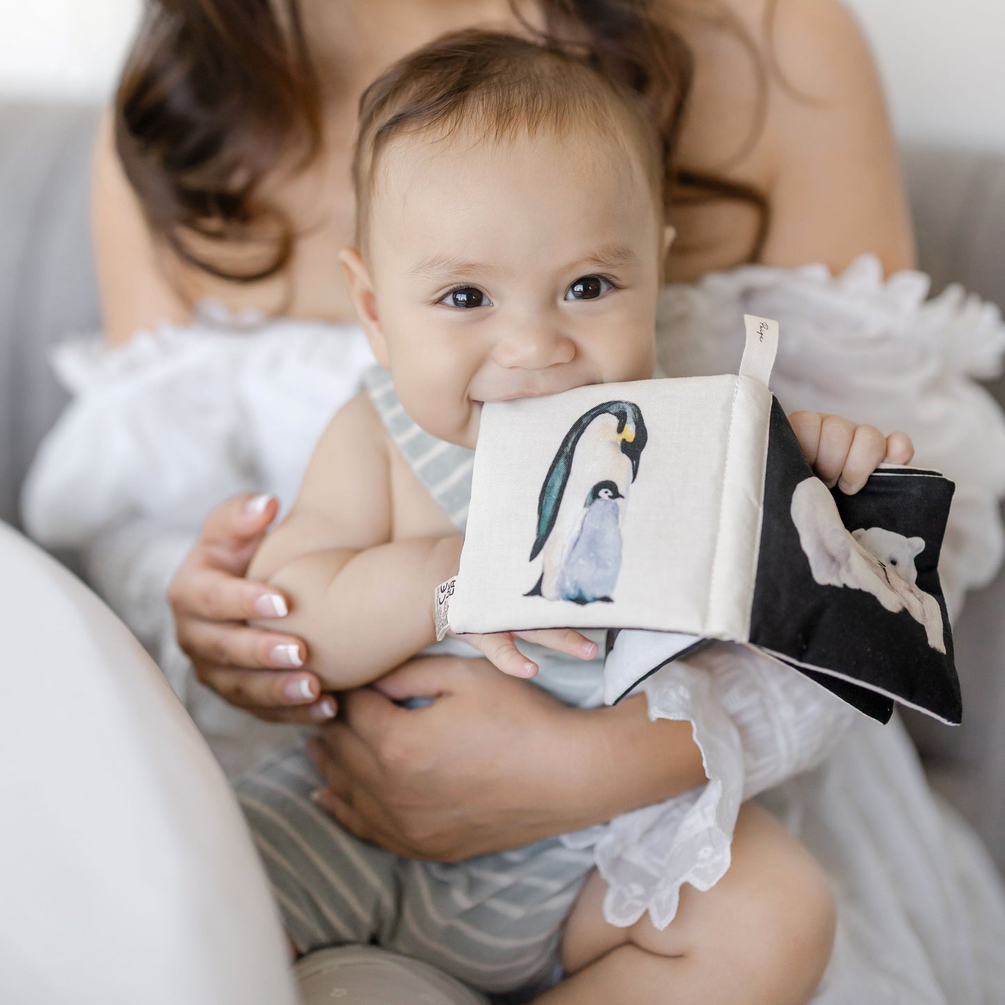 A baby holding a small illustrated book with a penguin and elephant, being held by a smiling woman on a light sofa.