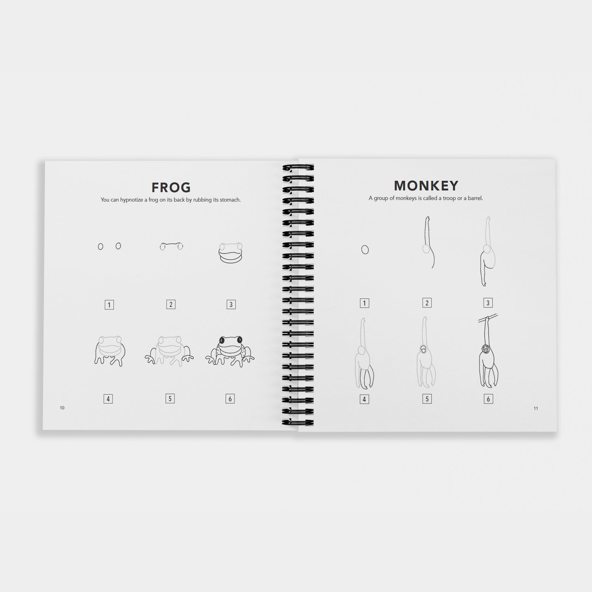Interior pages of “How to Draw All the Animals for Kids” by Alli Koch, showing step-by-step drawing guides for a frog and a monkey with simple numbered illustrations and fun animal facts