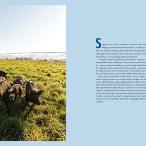 'Five Marys Family Style' Pigs in a field with text on a light blue background