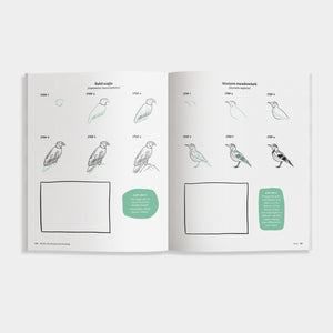 Open book of Pacific Northwest Line Drawing showing illustrations of birds with labels on a white background