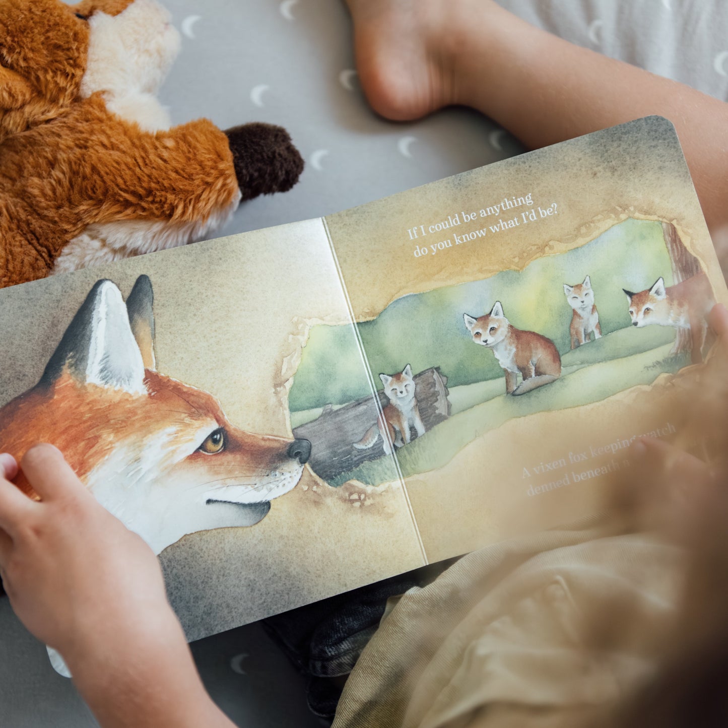 Child reading a fox-themed book with a stuffed fox toy on a polka dot blanket.