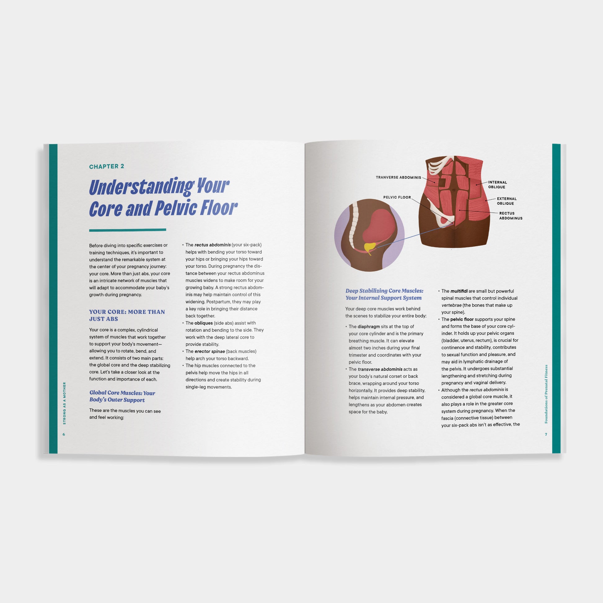 Open book of 'Strong as a Mother' showing a chapter about understanding the core and pelvic floor with illustrations on a white background.