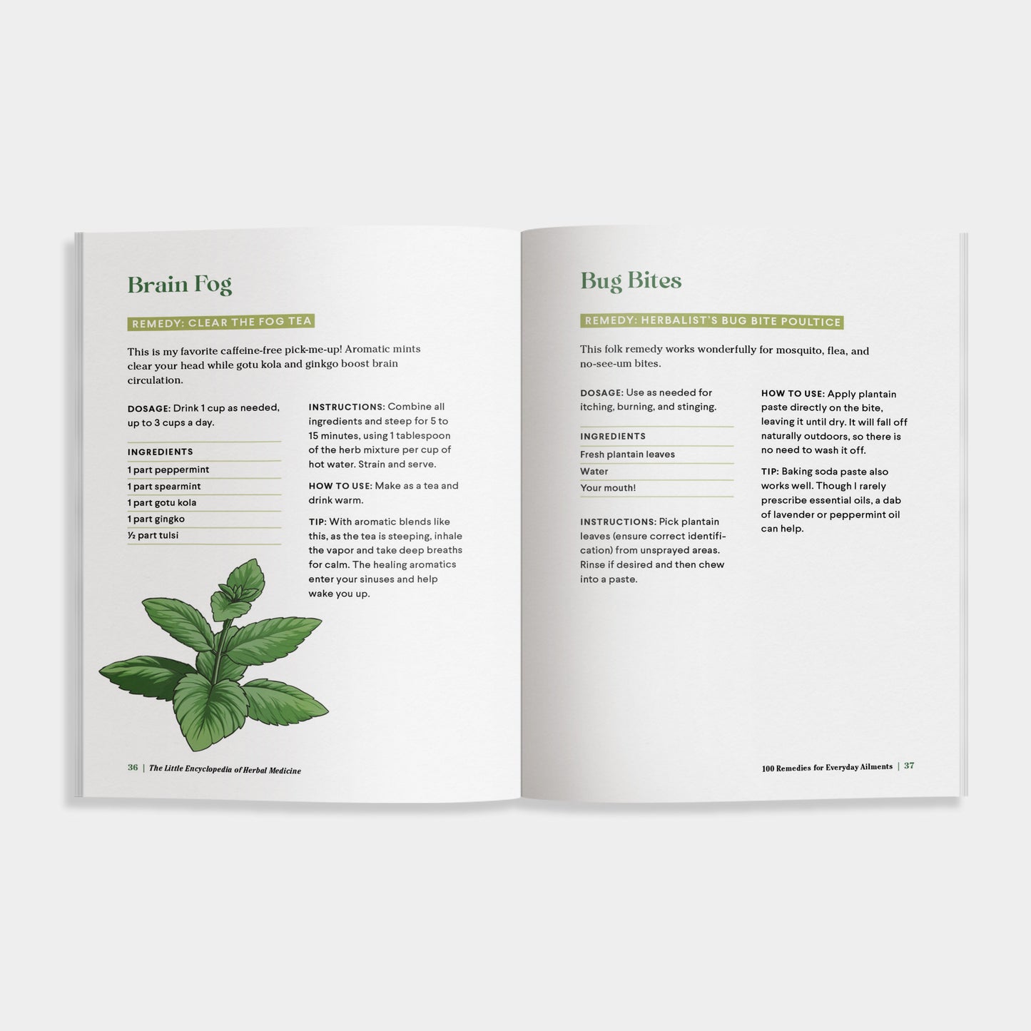 Open book showing pages with herbal medicine recipes and illustrations on a white background