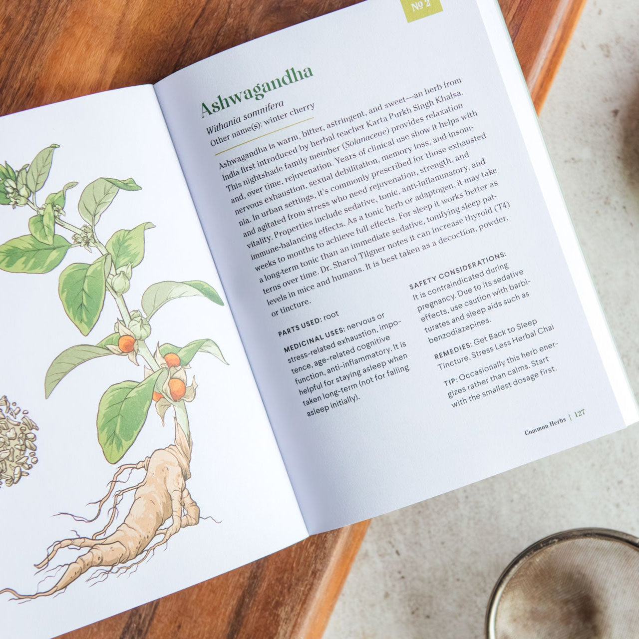 Open book with botanical illustration and text on a wooden surface