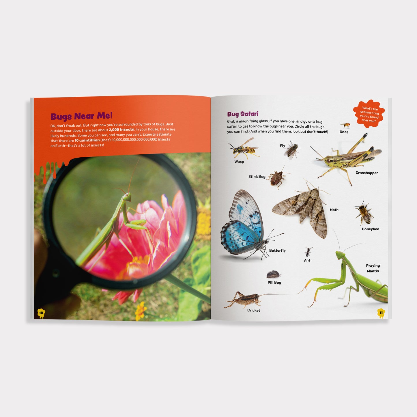 The Grossest Bug Activity Book EVER!