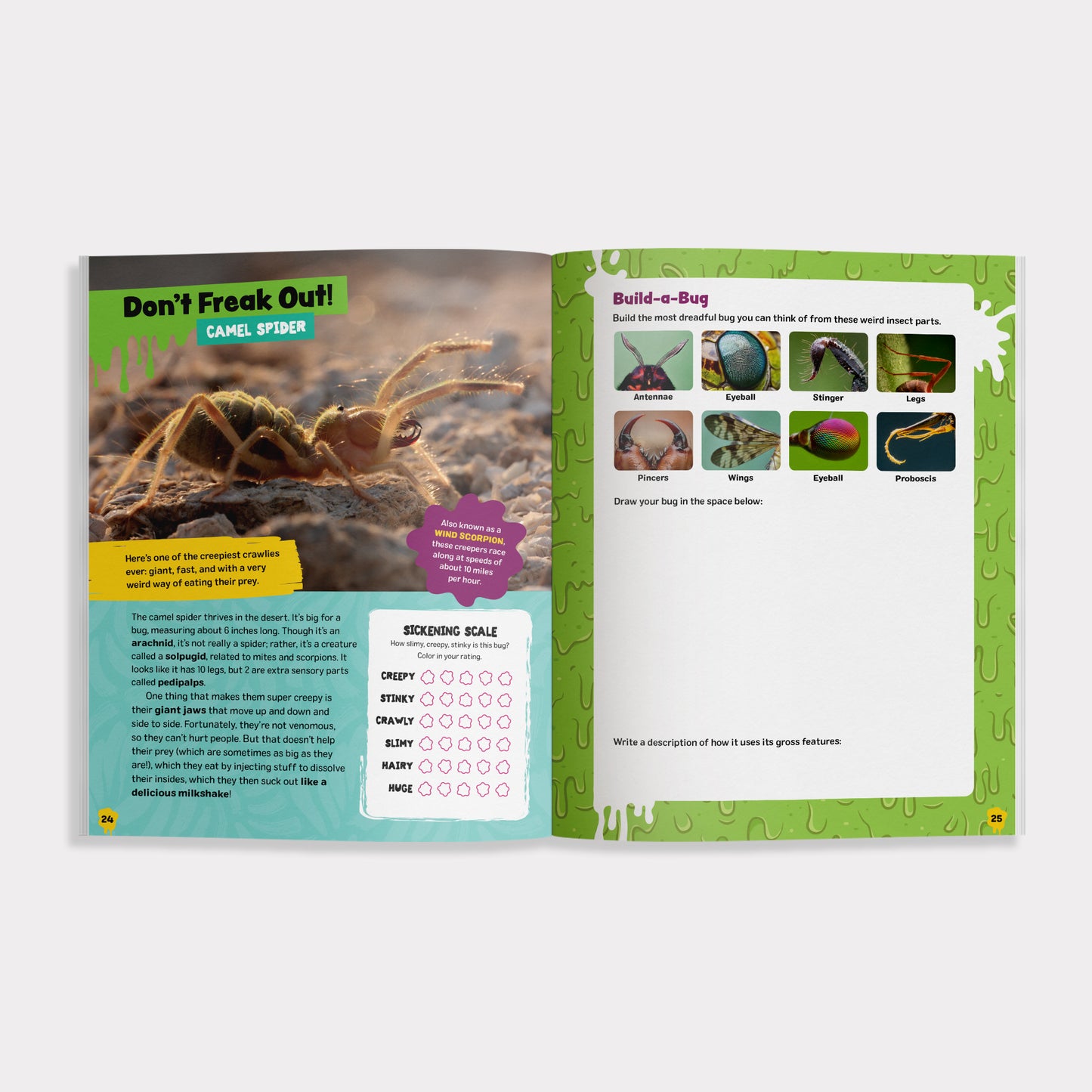 The Grossest Bug Activity Book EVER!