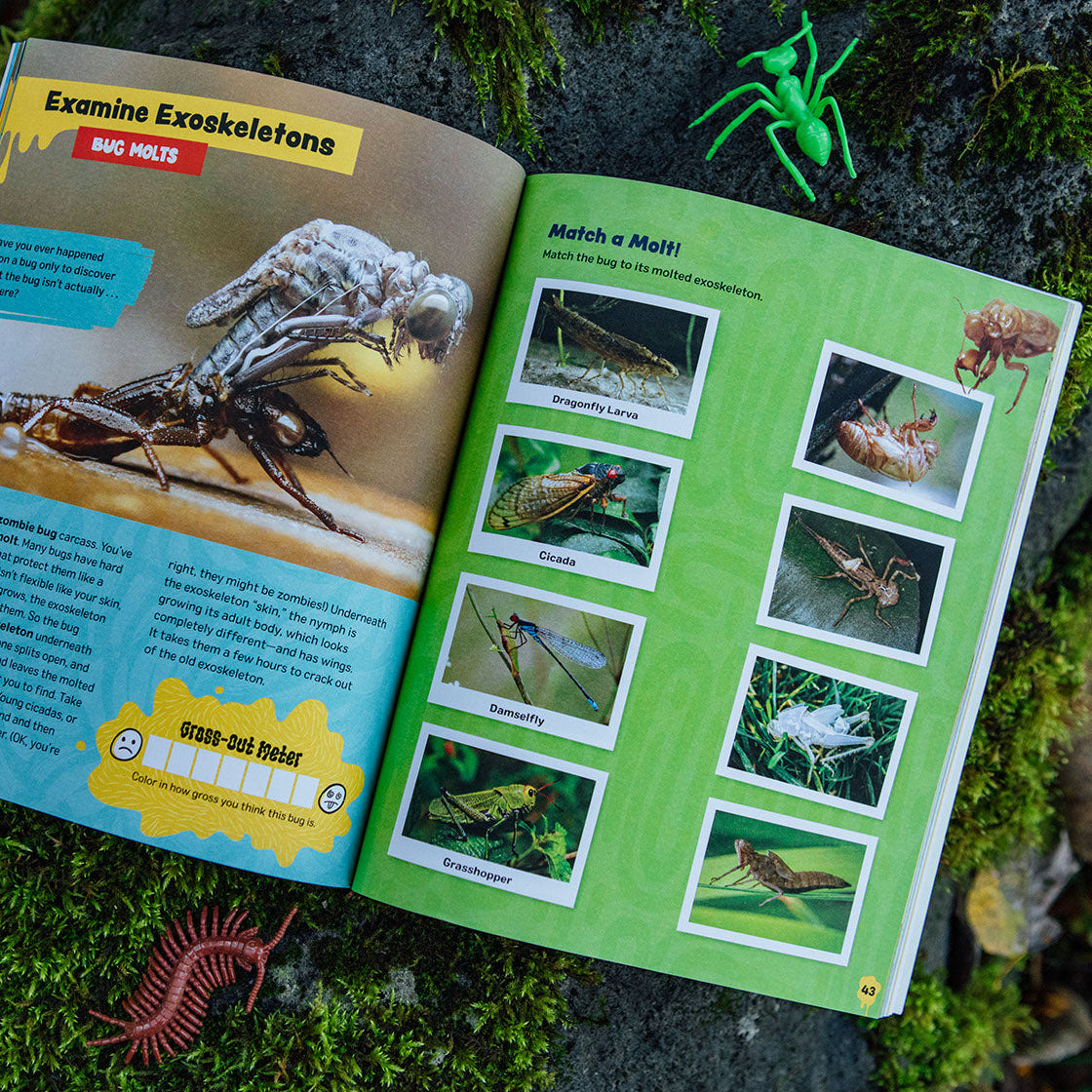 Open book on a rock with illustrations of insects and nature-themed text